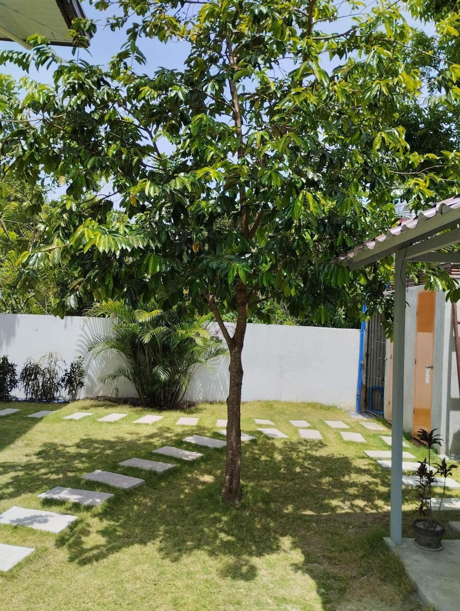 Casa LeoMa
