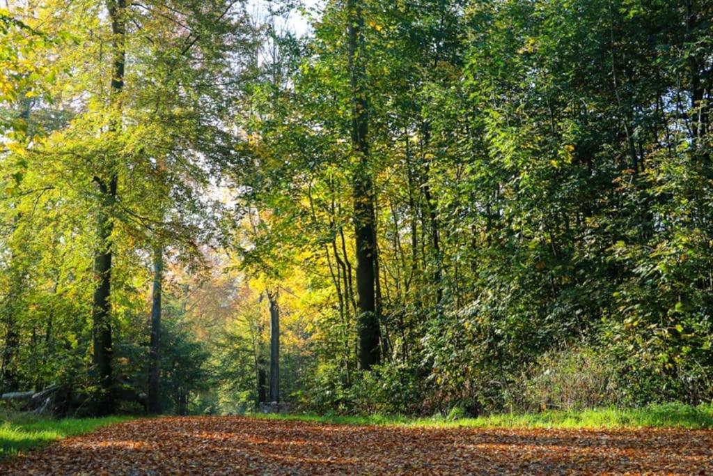 Assendrupgaard Vejle