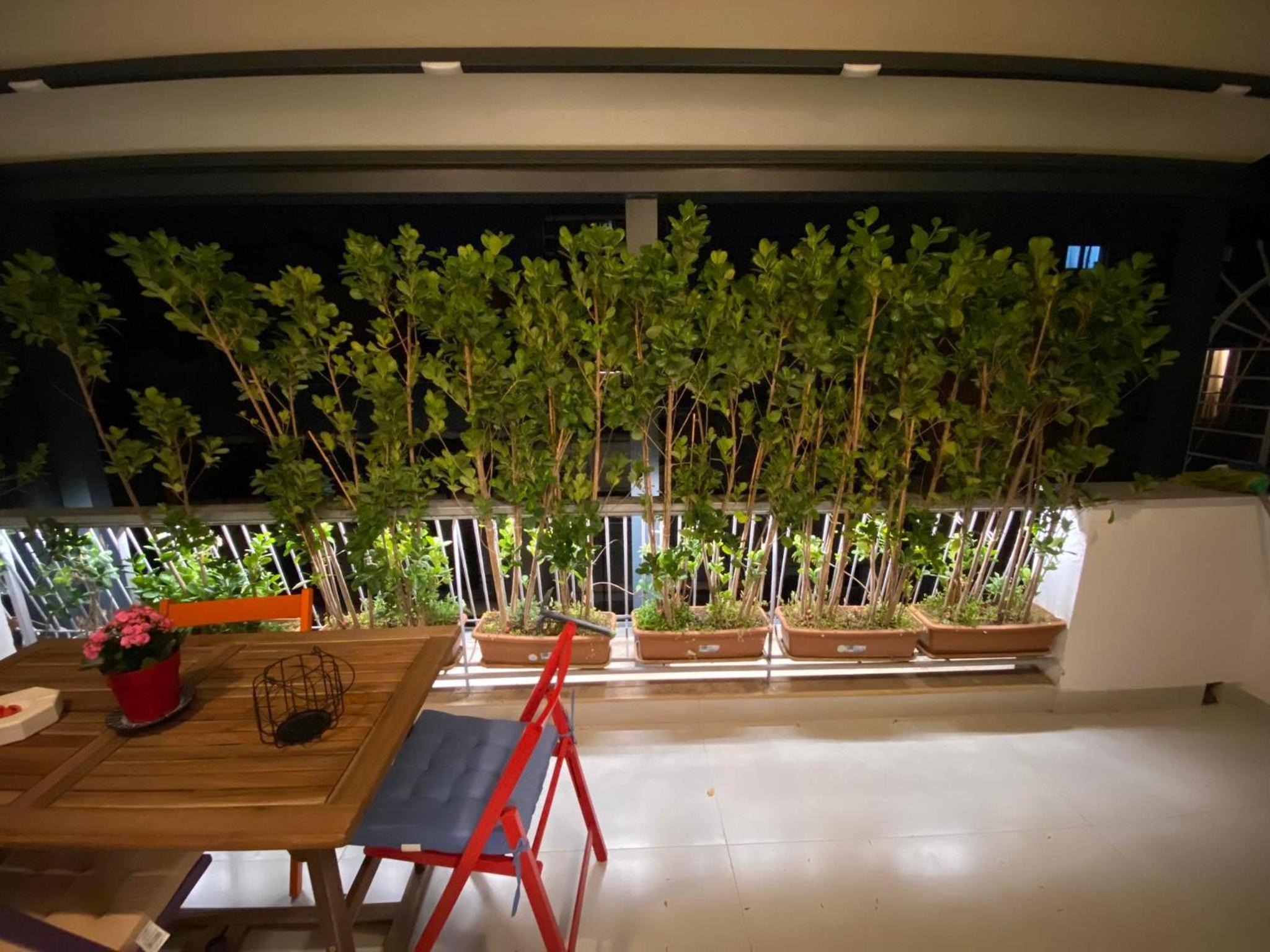 Modern studio apartment B