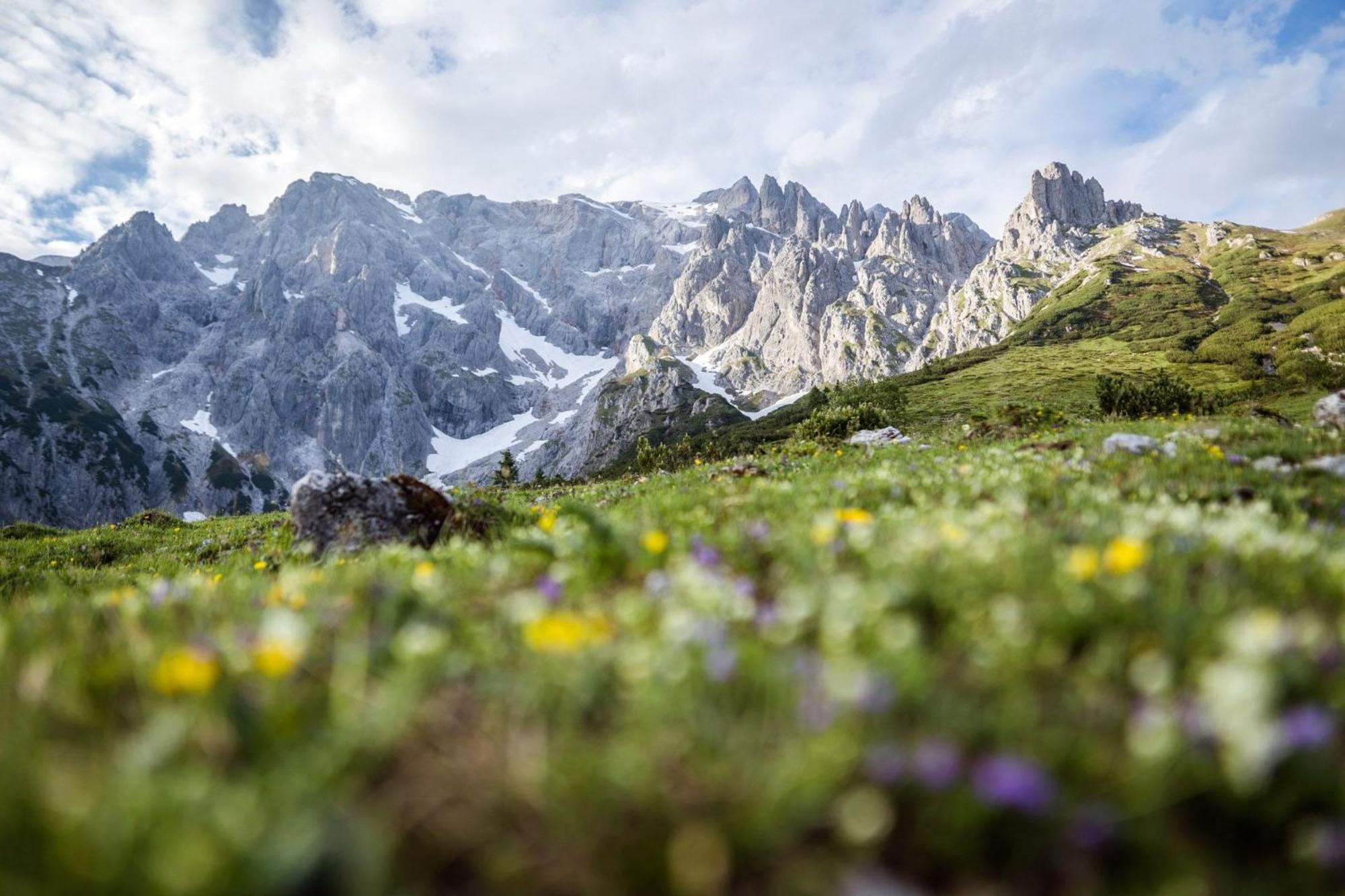 AlpenParks Apartments Maria Alm