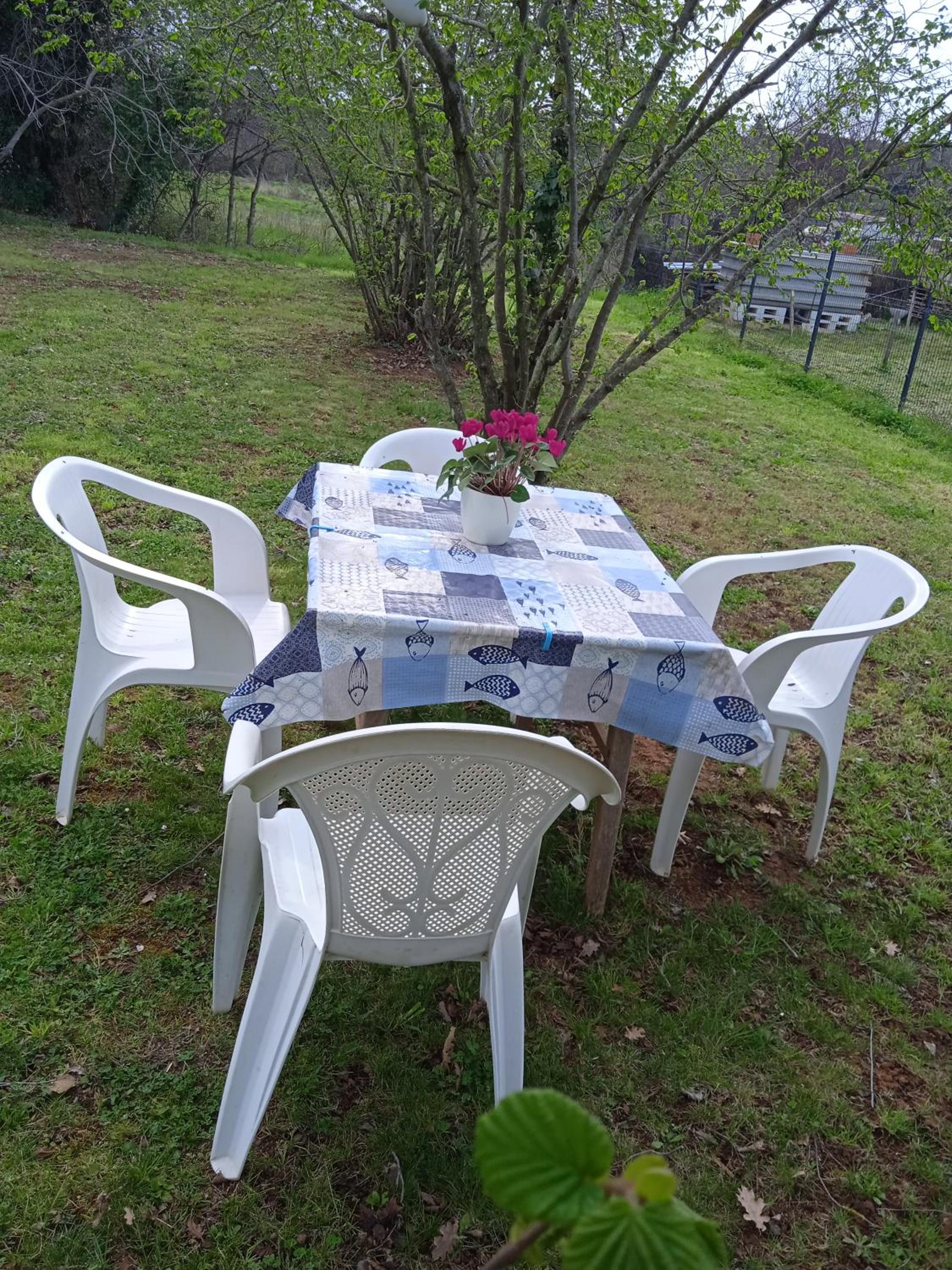 Photo 18