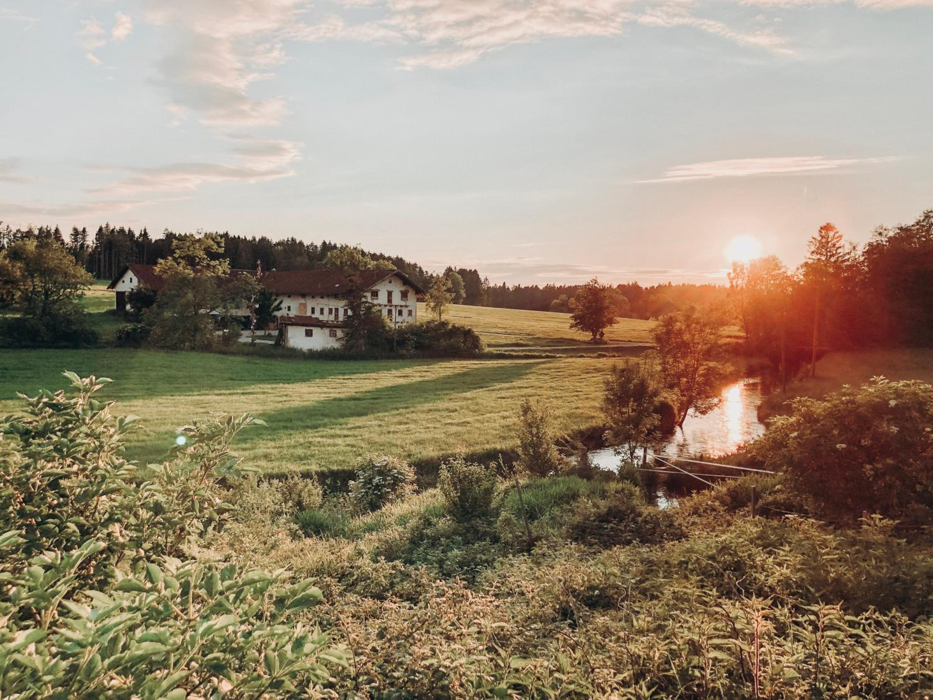 Ferienhof Petermühle Urlaub mit Alpakas