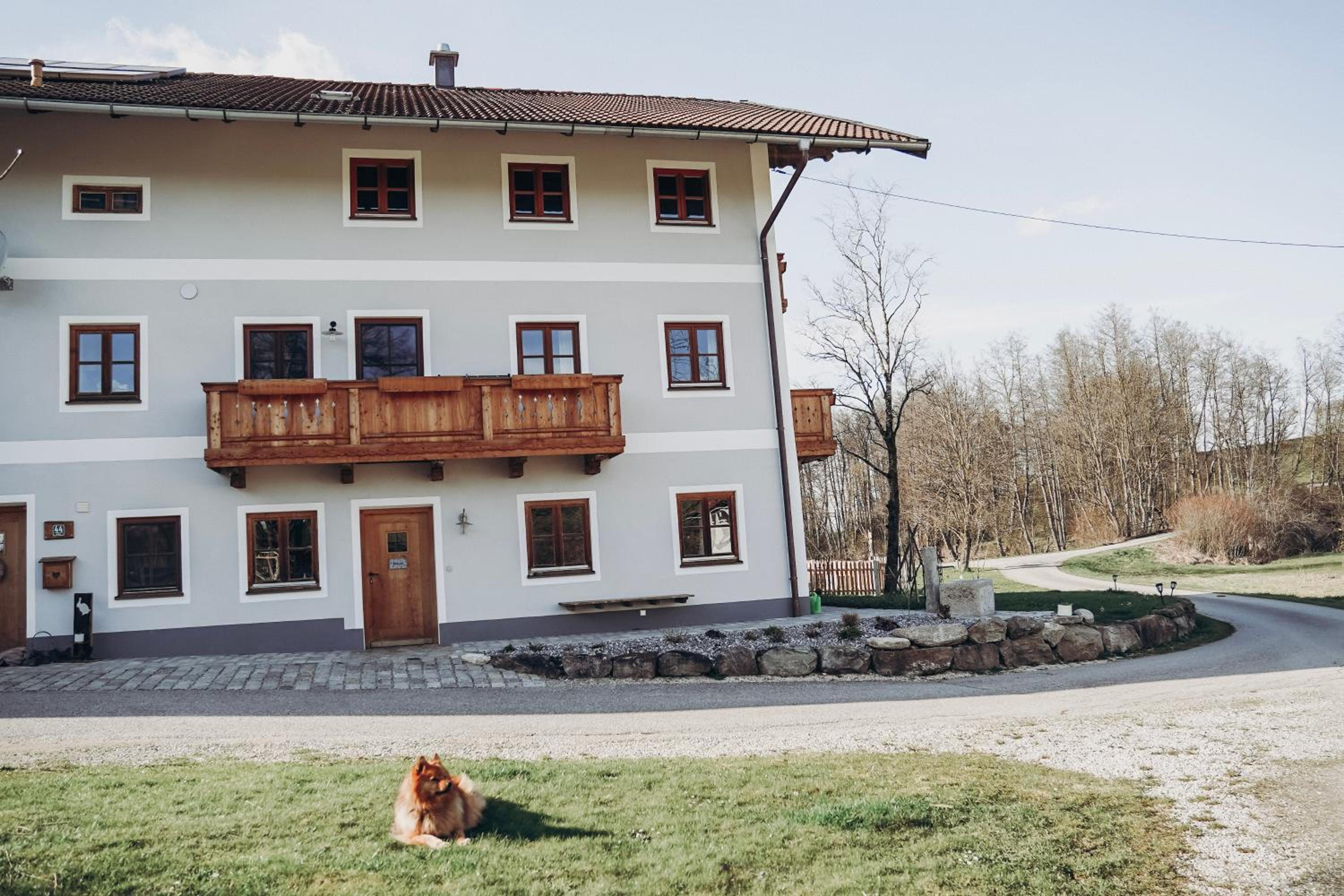 Ferienhof Petermühle Urlaub mit Alpakas