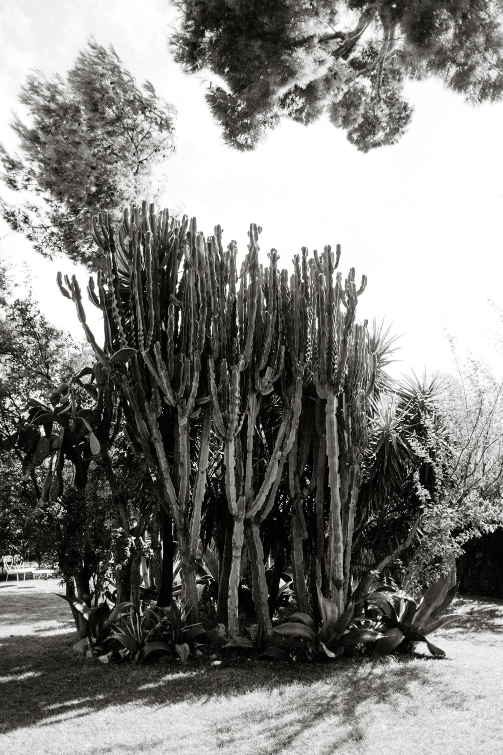 Capo Santa Fortunata