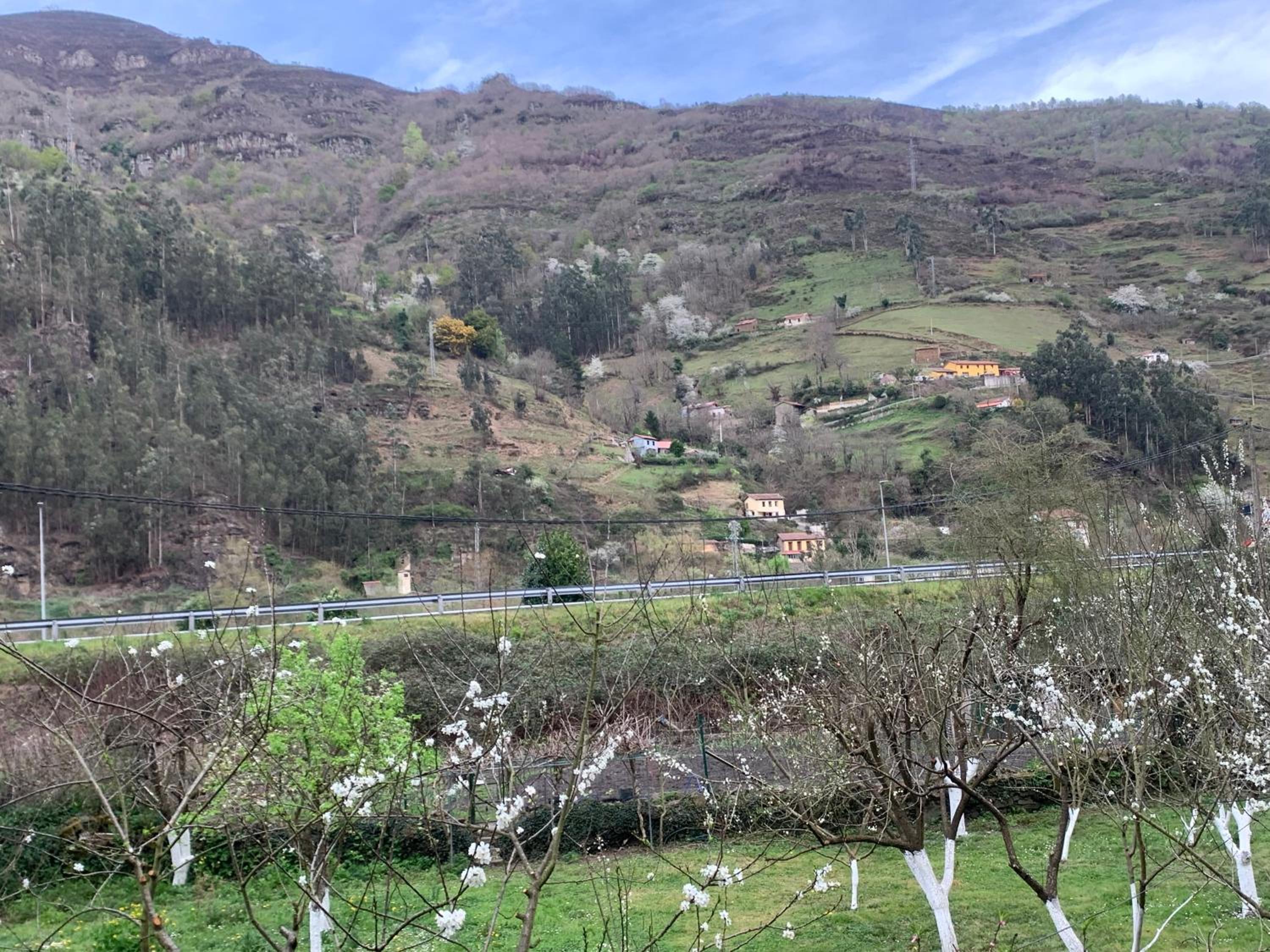 Casa Rural en Santa Cruz-Mieres view 2
