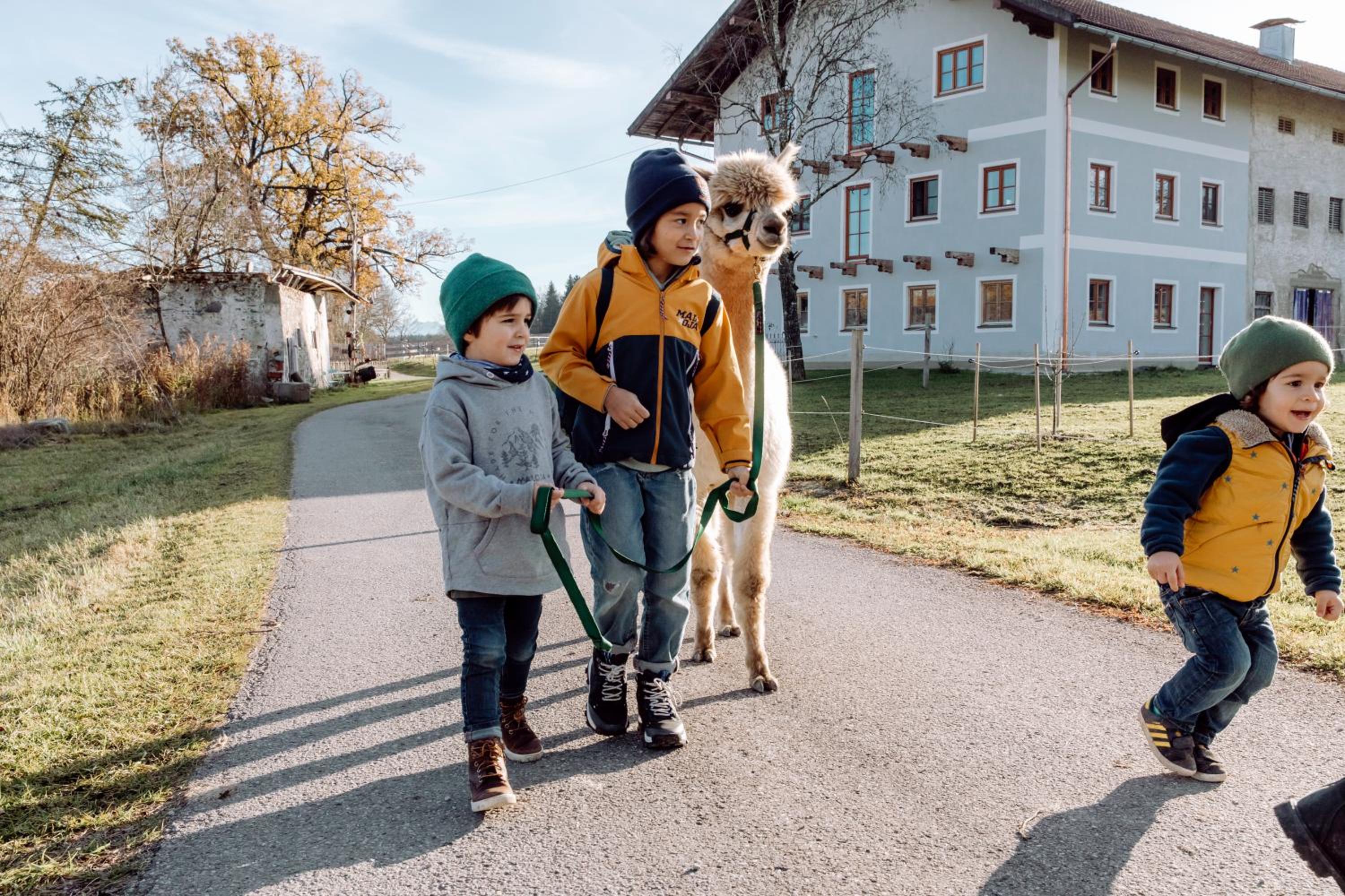 Ferienhof Petermühle Urlaub mit Alpakas