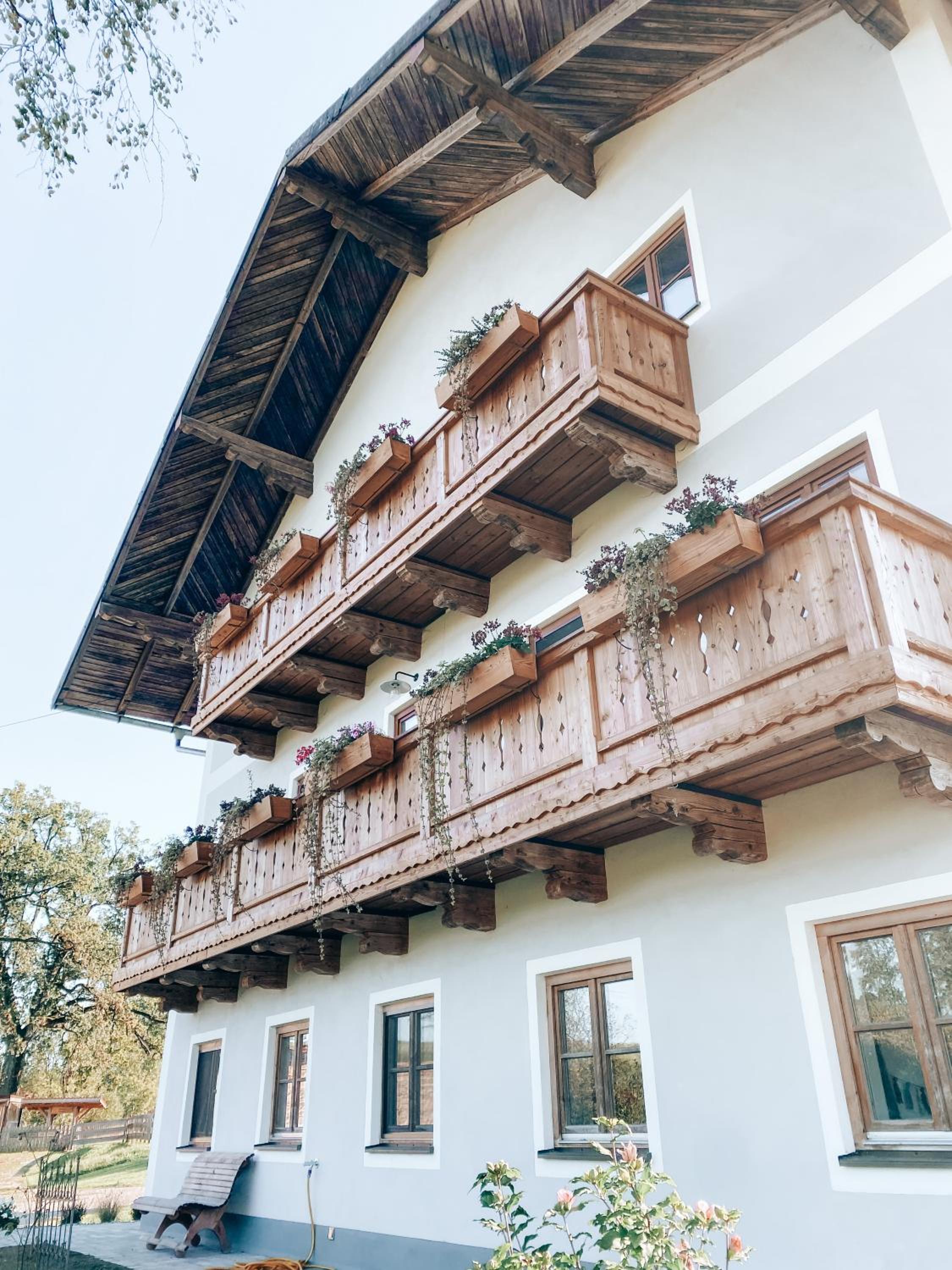 Ferienhof Petermühle Urlaub mit Alpakas