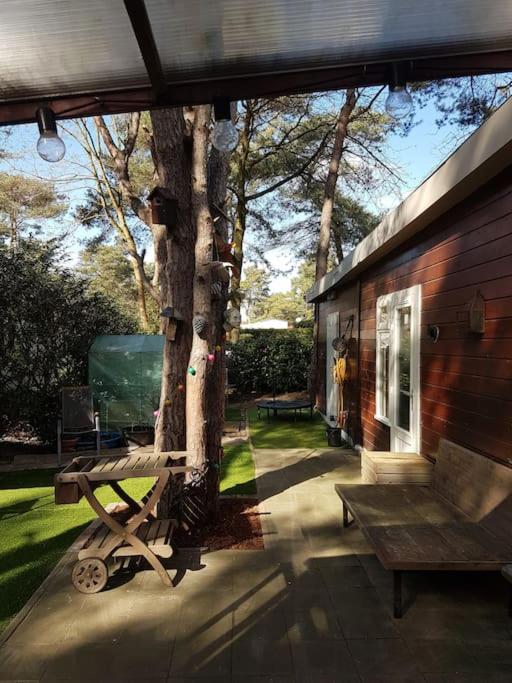 3 bedroom Chalet on Camping GT Balen