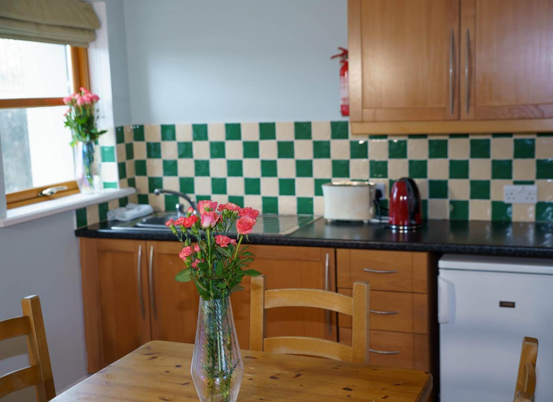 Dingle Courtyard Cottages 2 Bed Sleeps 4 view 3