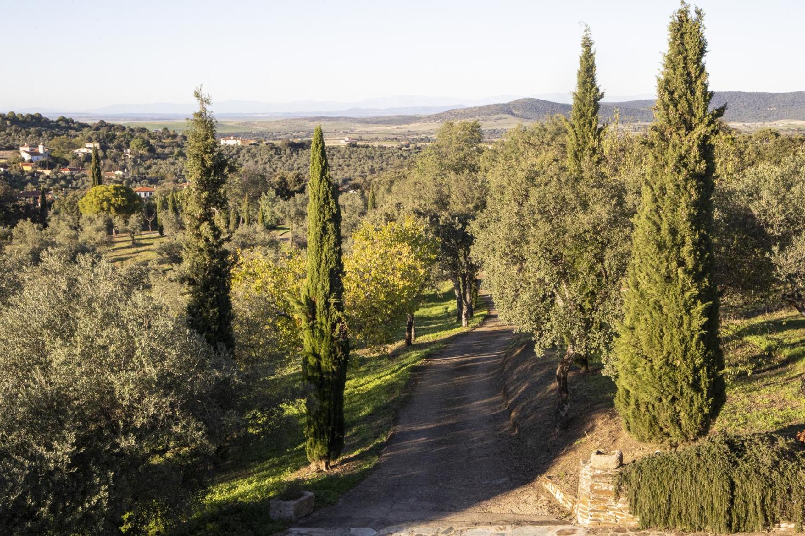 Lagar La Pizarra Casa Rural