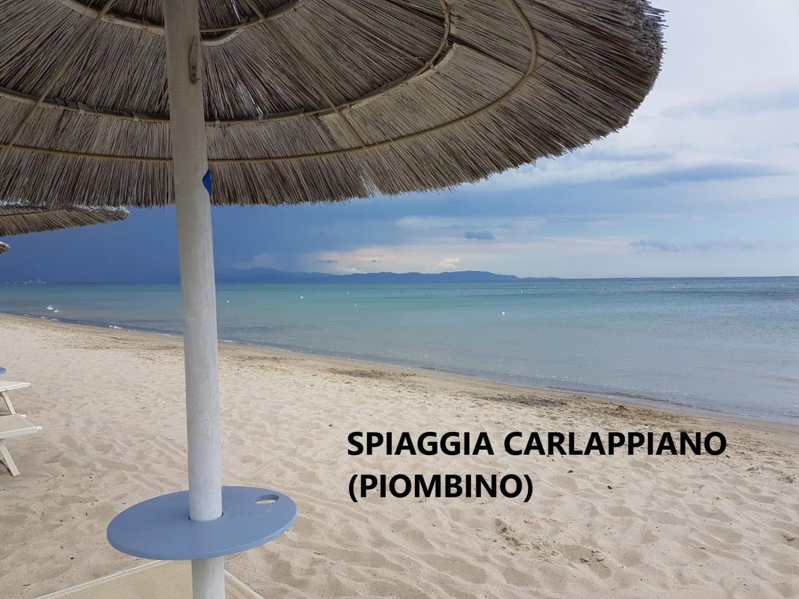 SPAZIO-CONFORT-FITNESS view 3