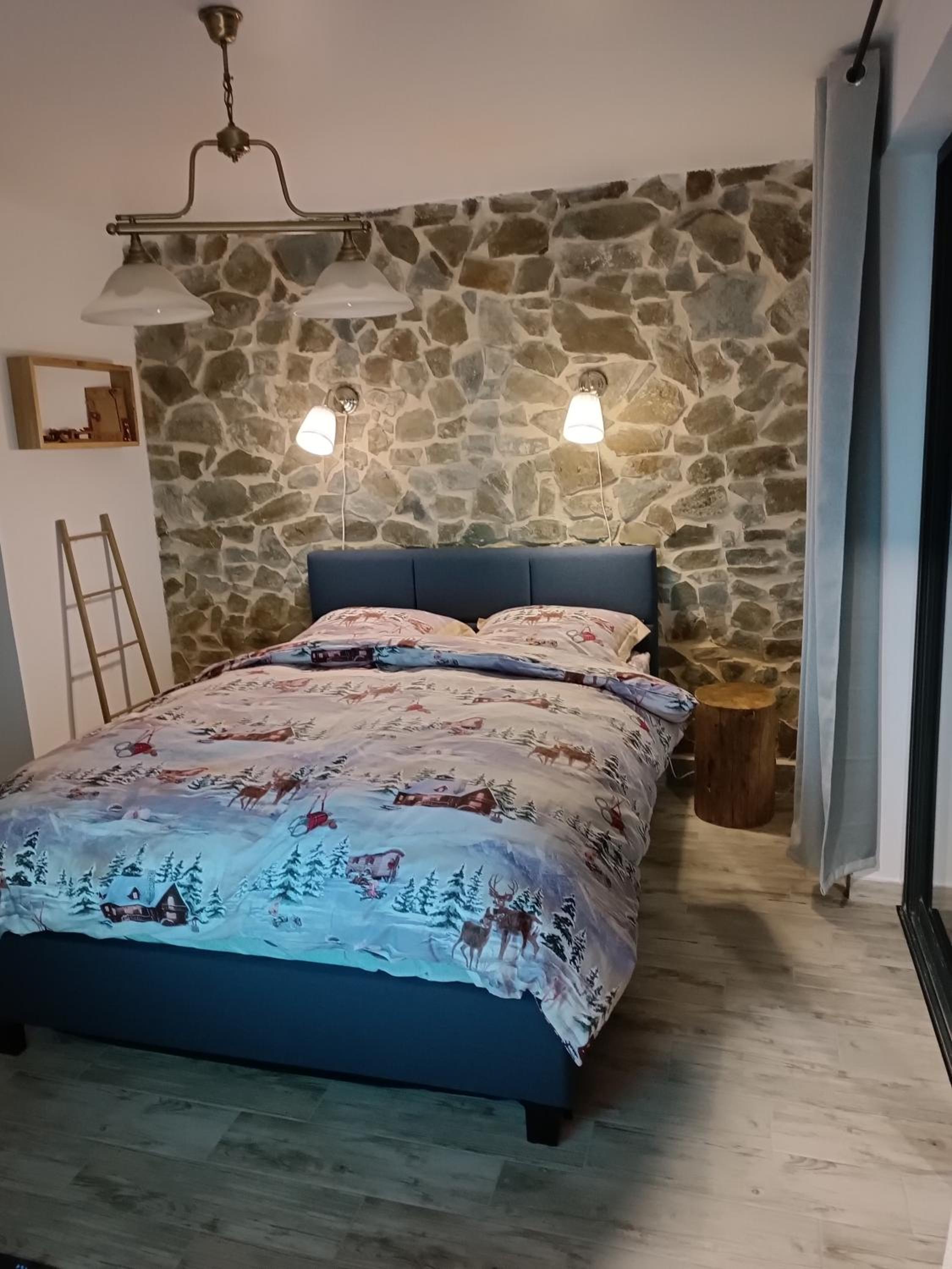 Cabana de pe Stanca
