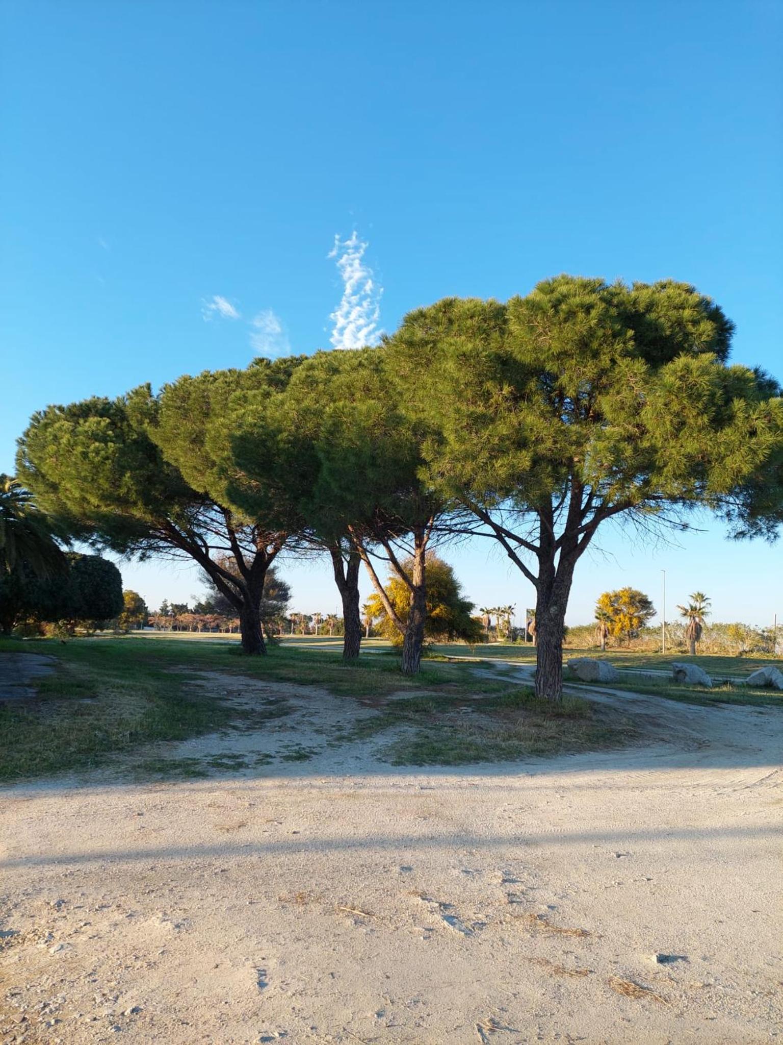 Alloggio