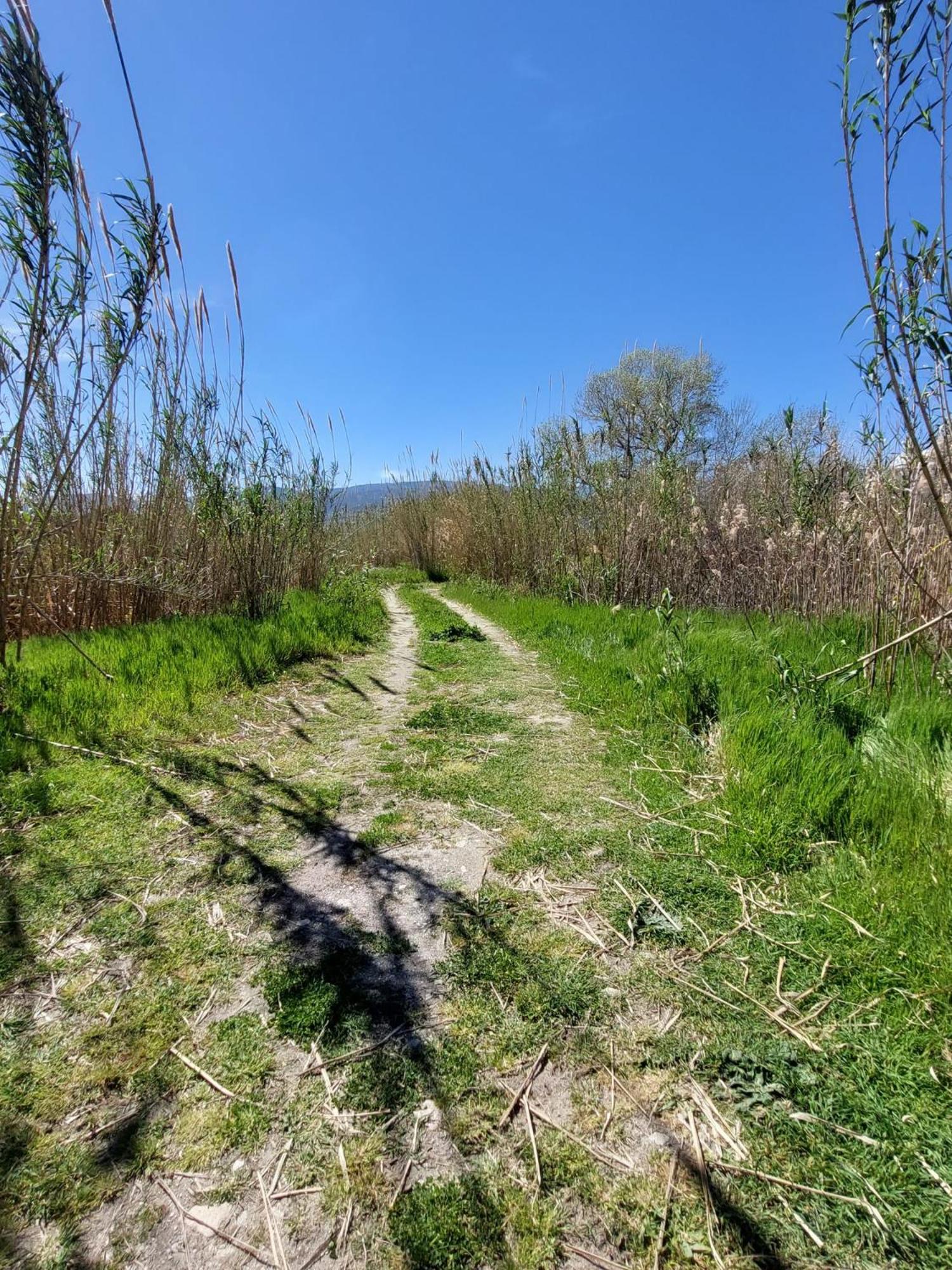 Alloggio