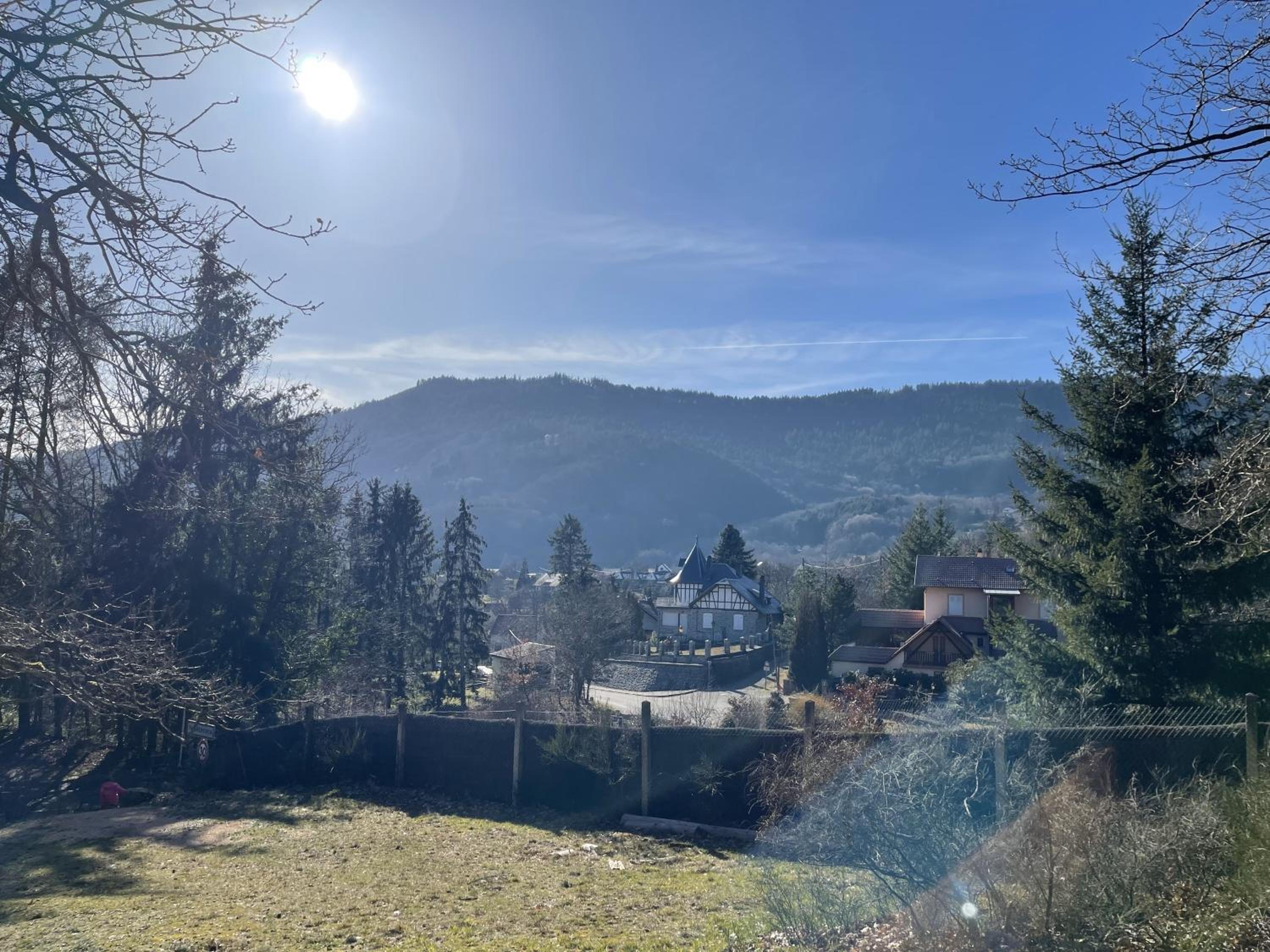 Le Manoir des Sens - Forêt de Bergheim