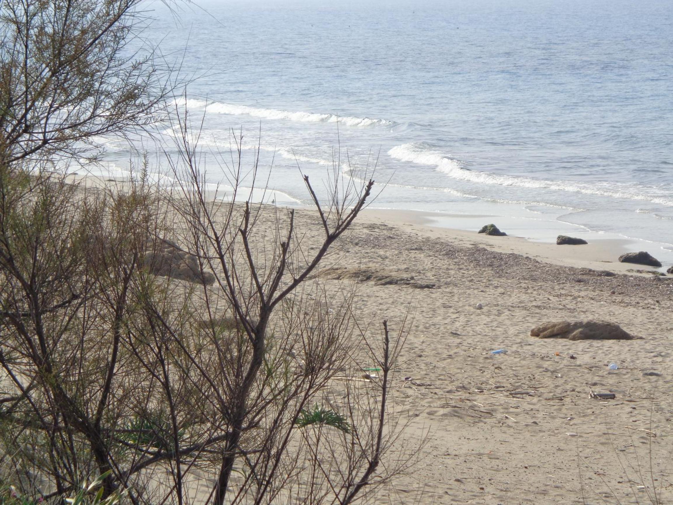 Photo 16