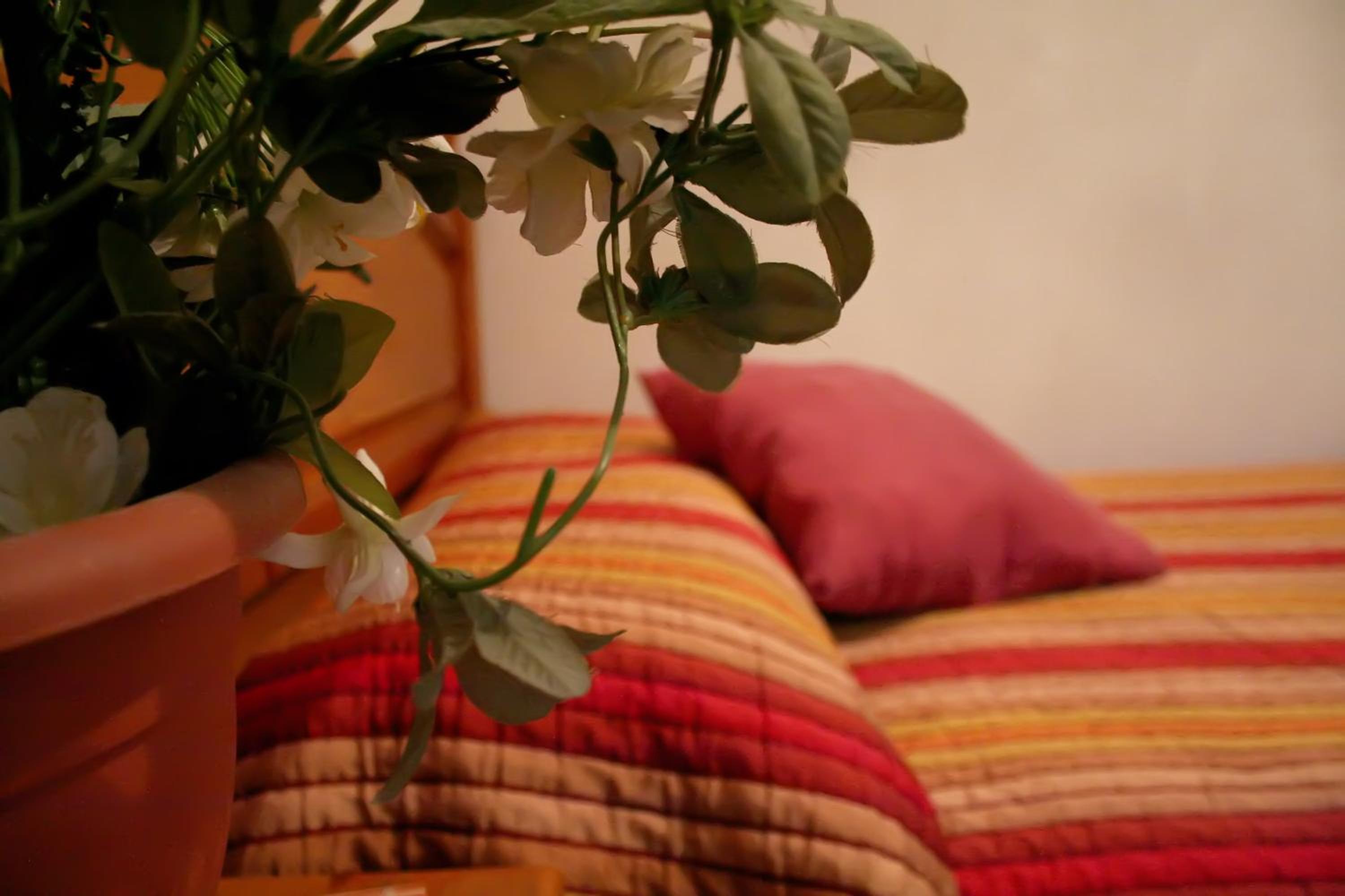 Hostal Ramón y Cajal