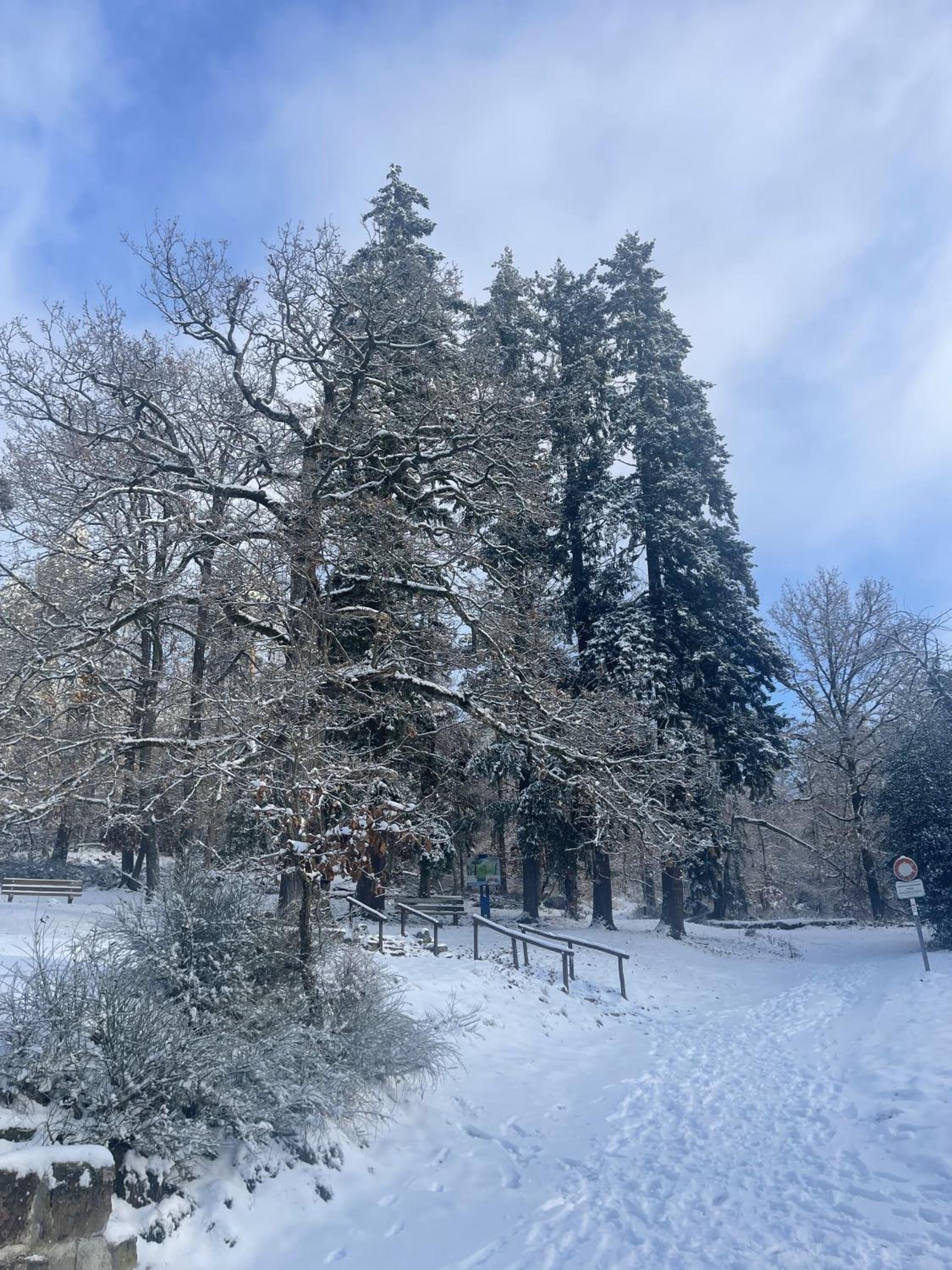 Le Manoir des Sens - Forêt de Bergheim