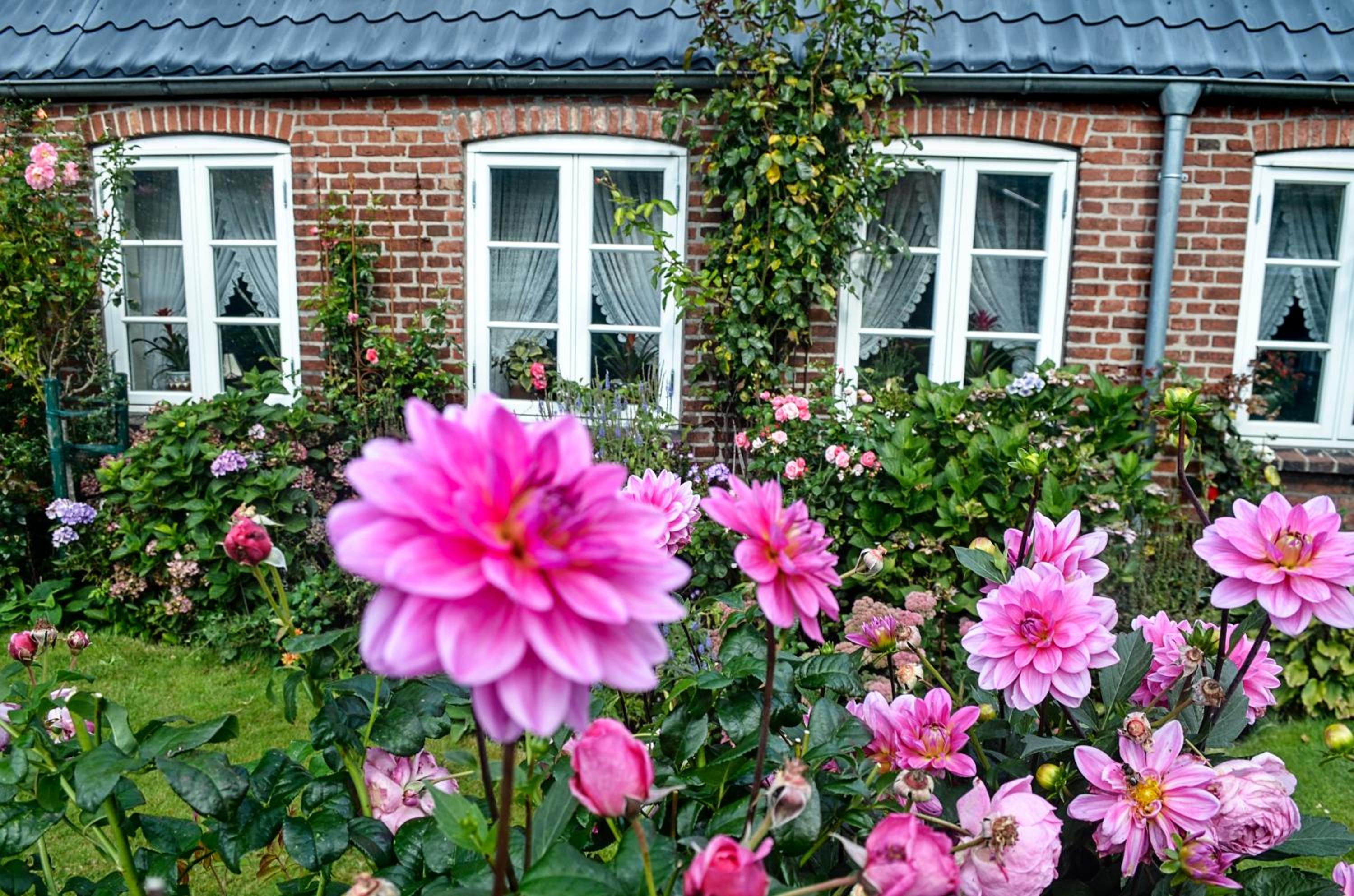 Hof Diederichs