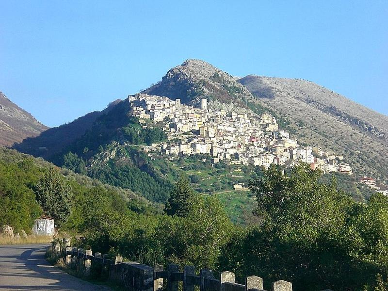 Photo 15
