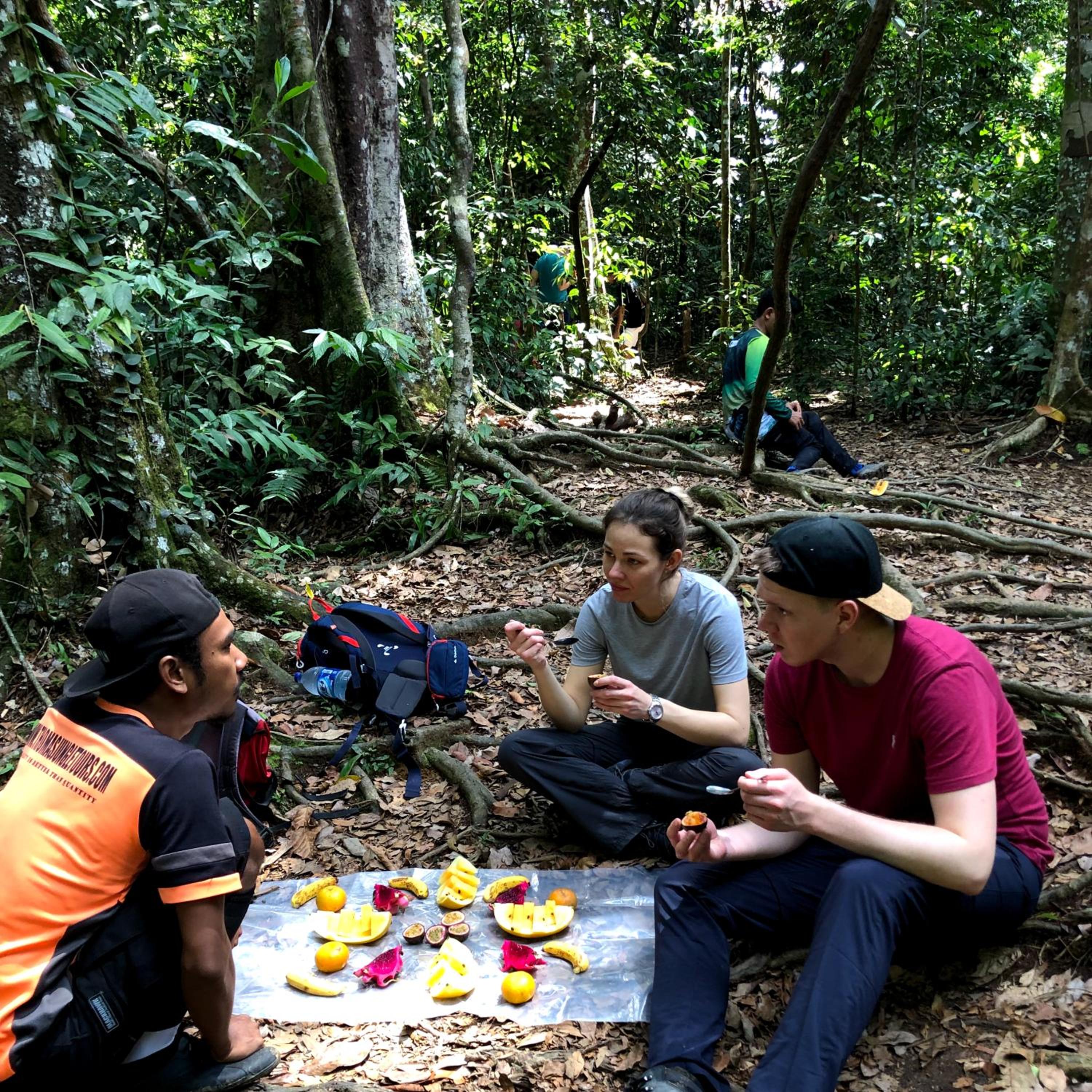 Thomas' Retreat Bukit Lawang view 5