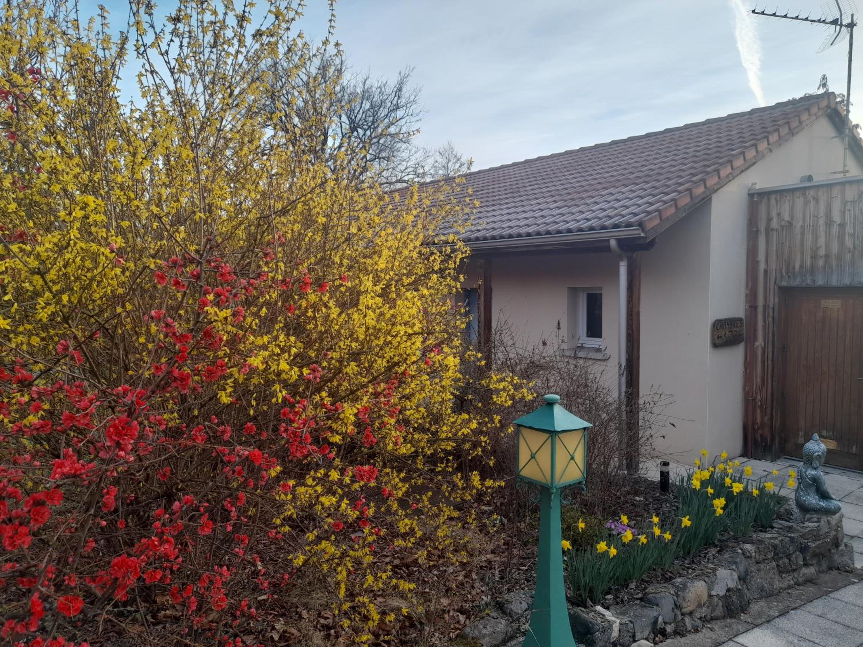 garden