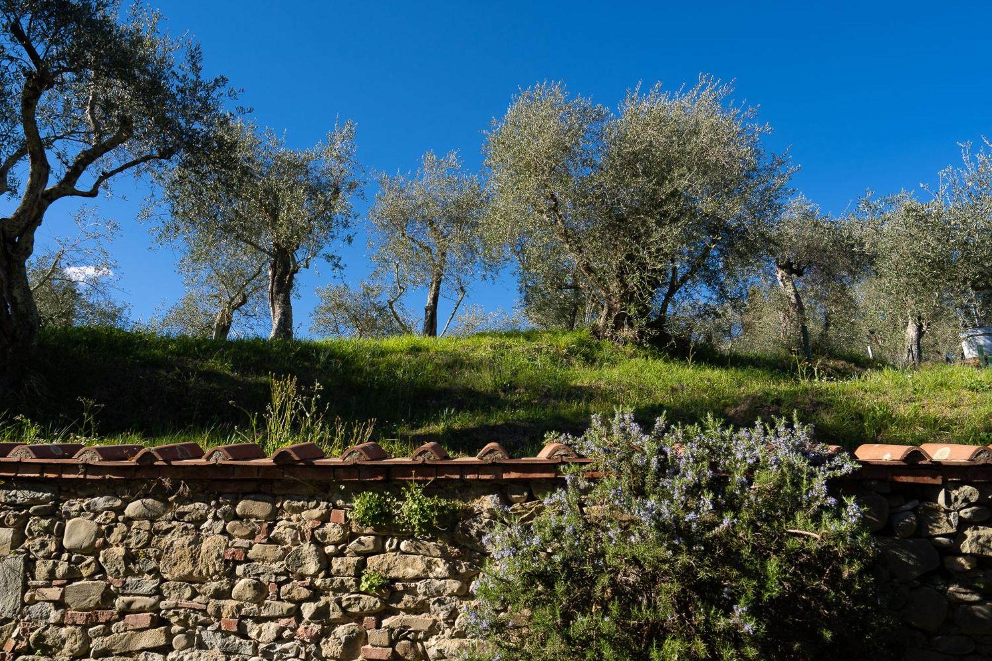 Alloggi in Villa storica