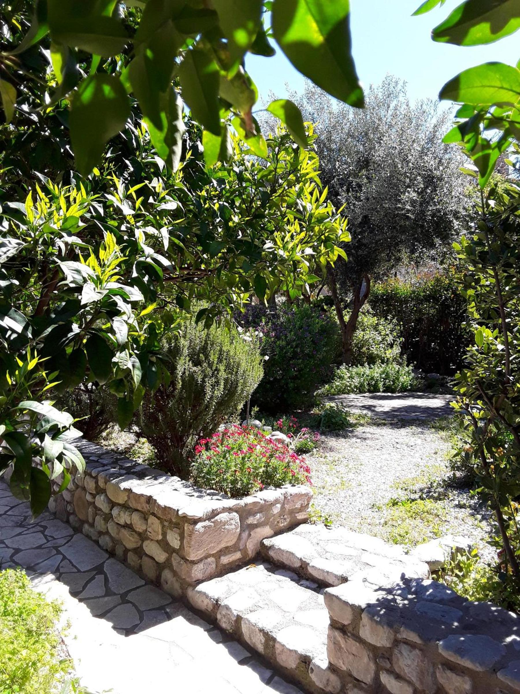 Meraki