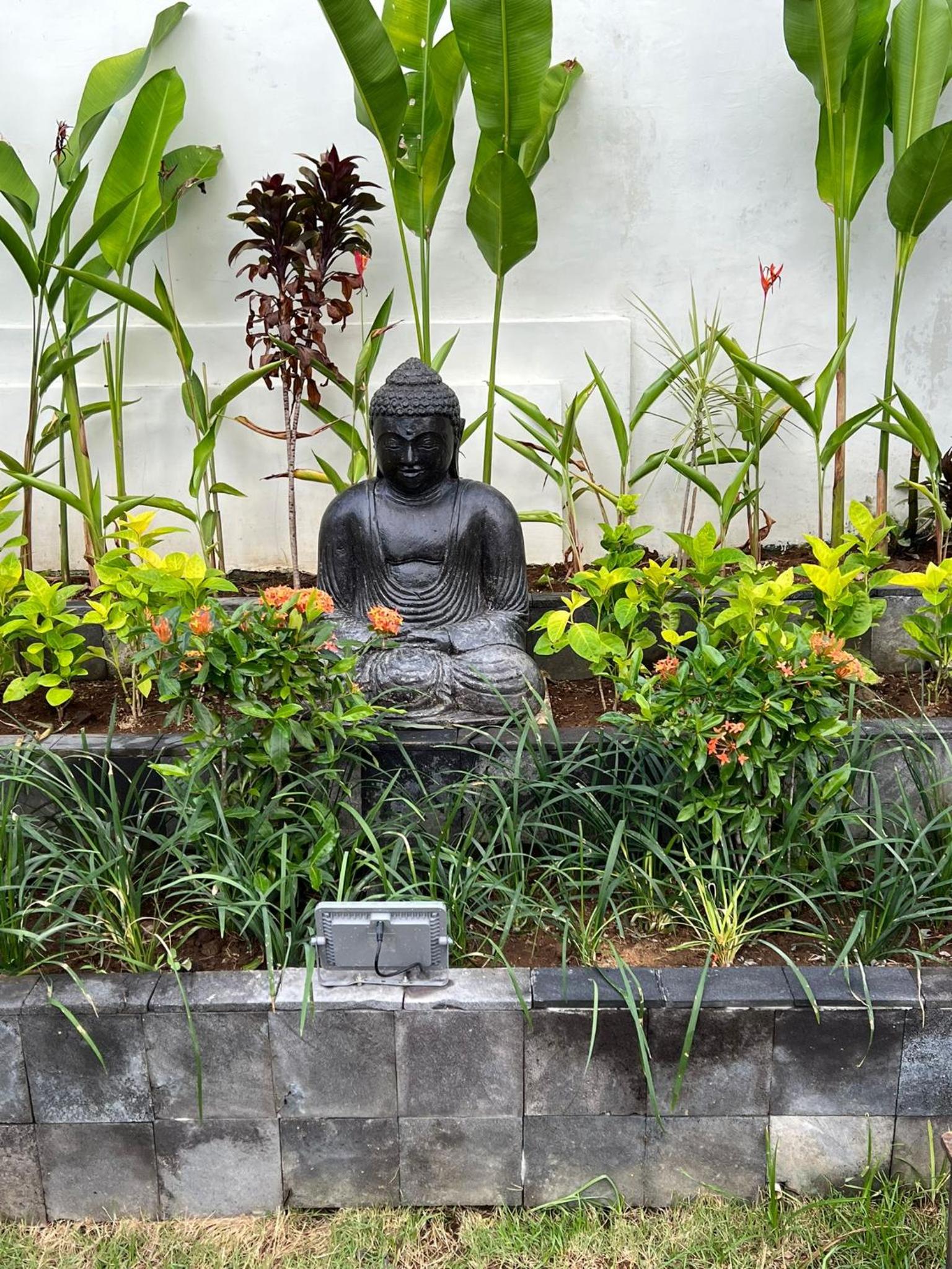 Villa Anjing