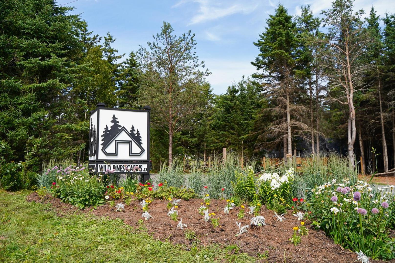 Wild Pines Cabins
