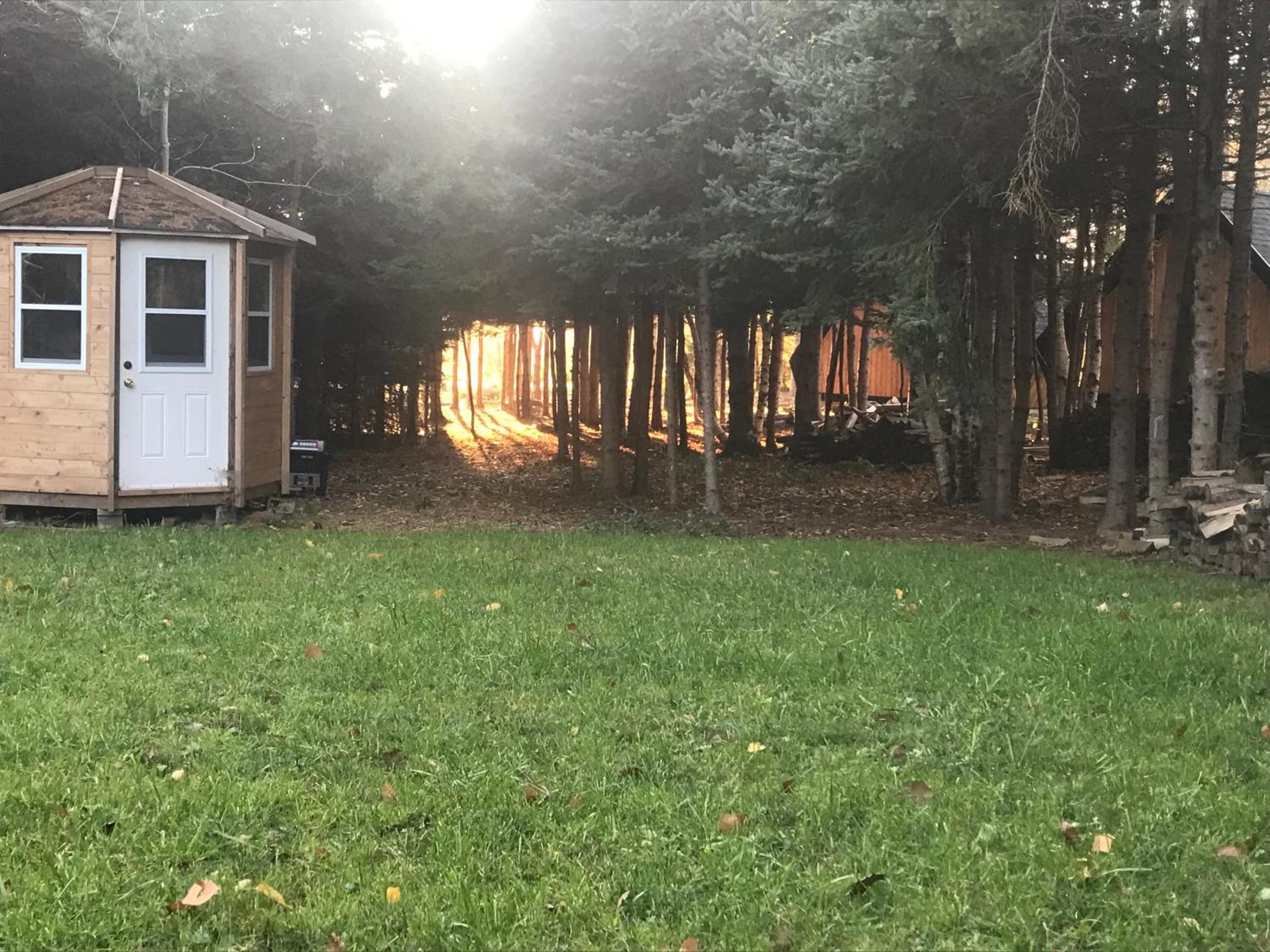 Wild Pines Cabins