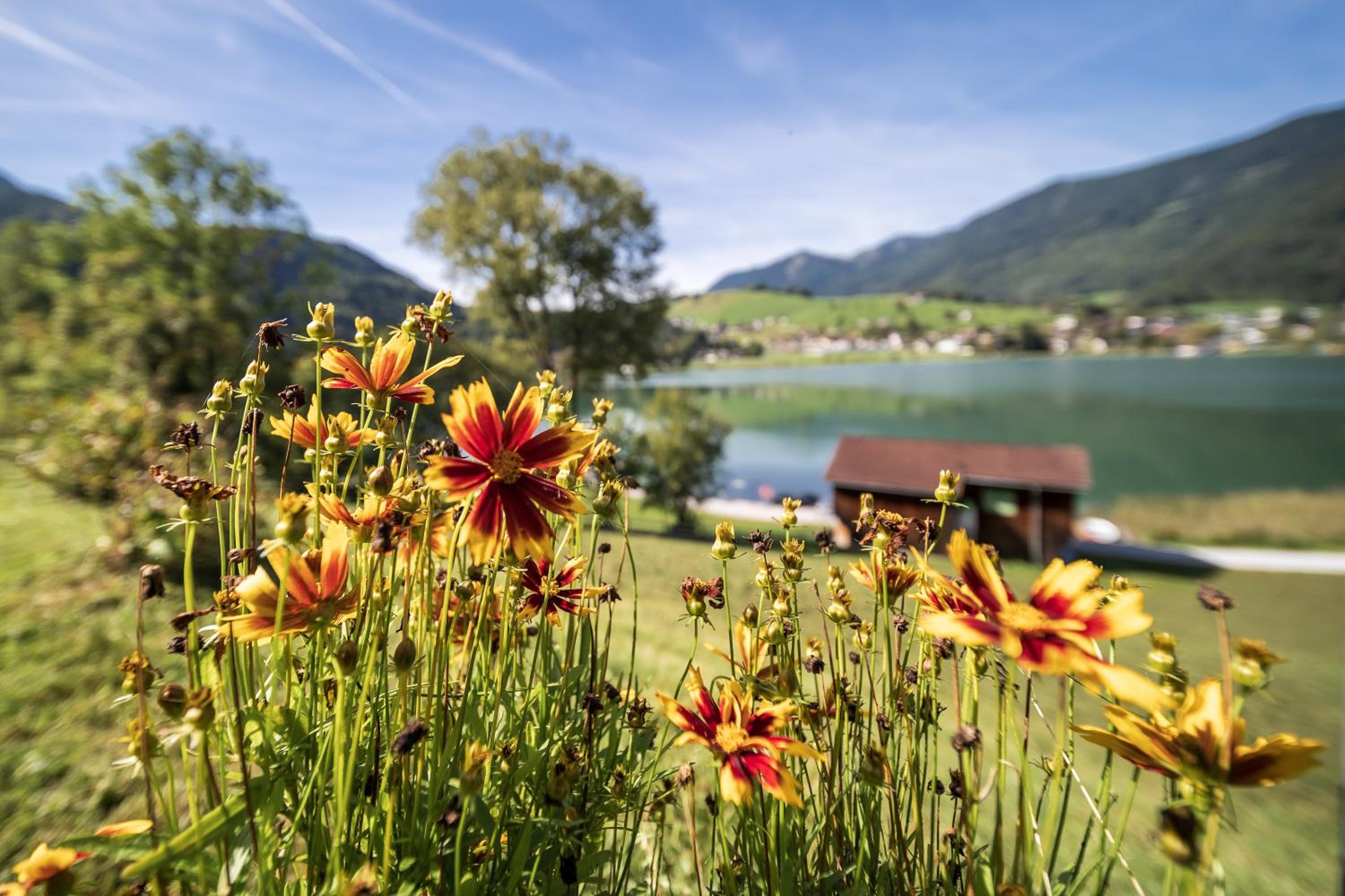 Ticklhof am See
