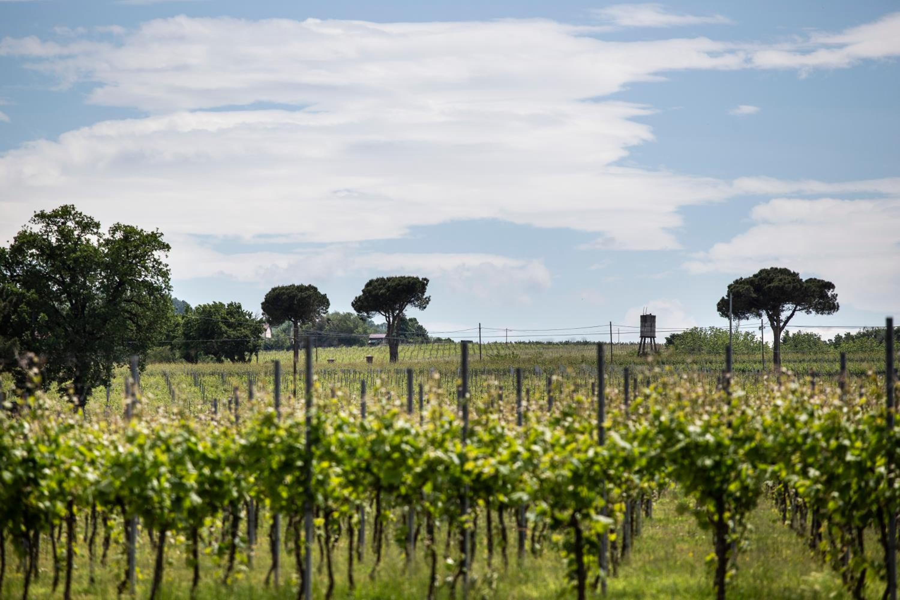 Agriturismo Trerè