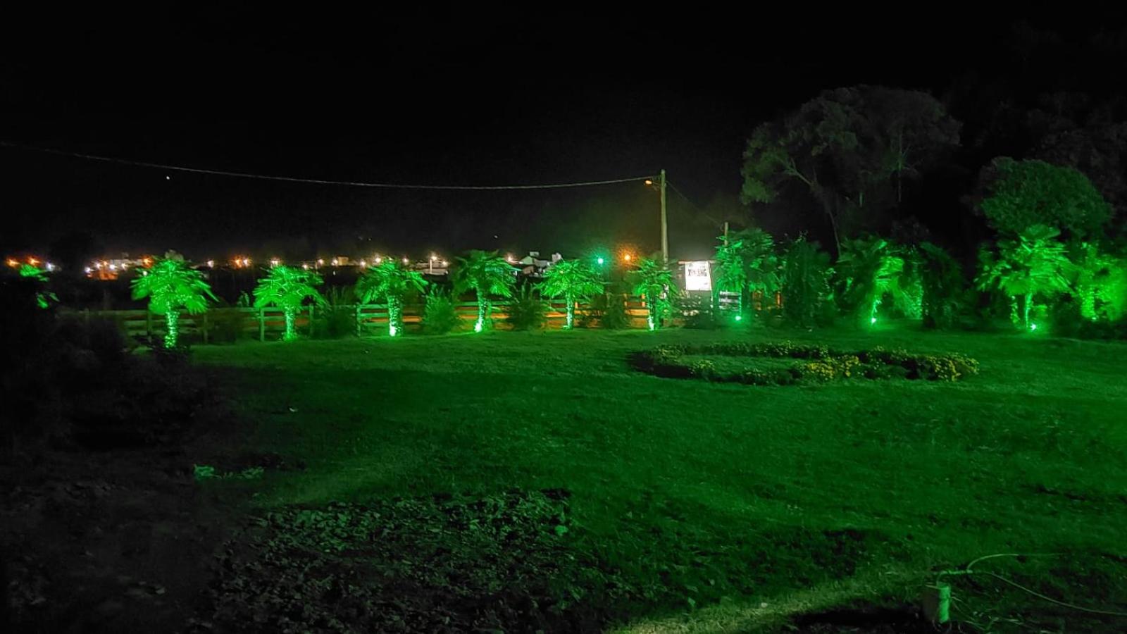 Photo 45
