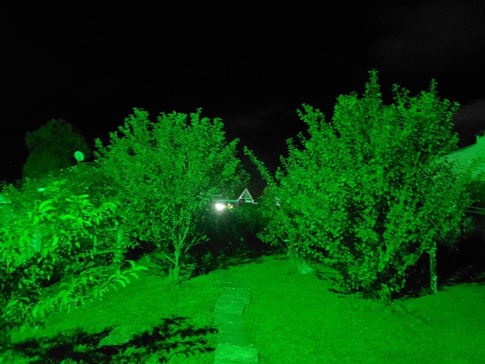 Photo 44