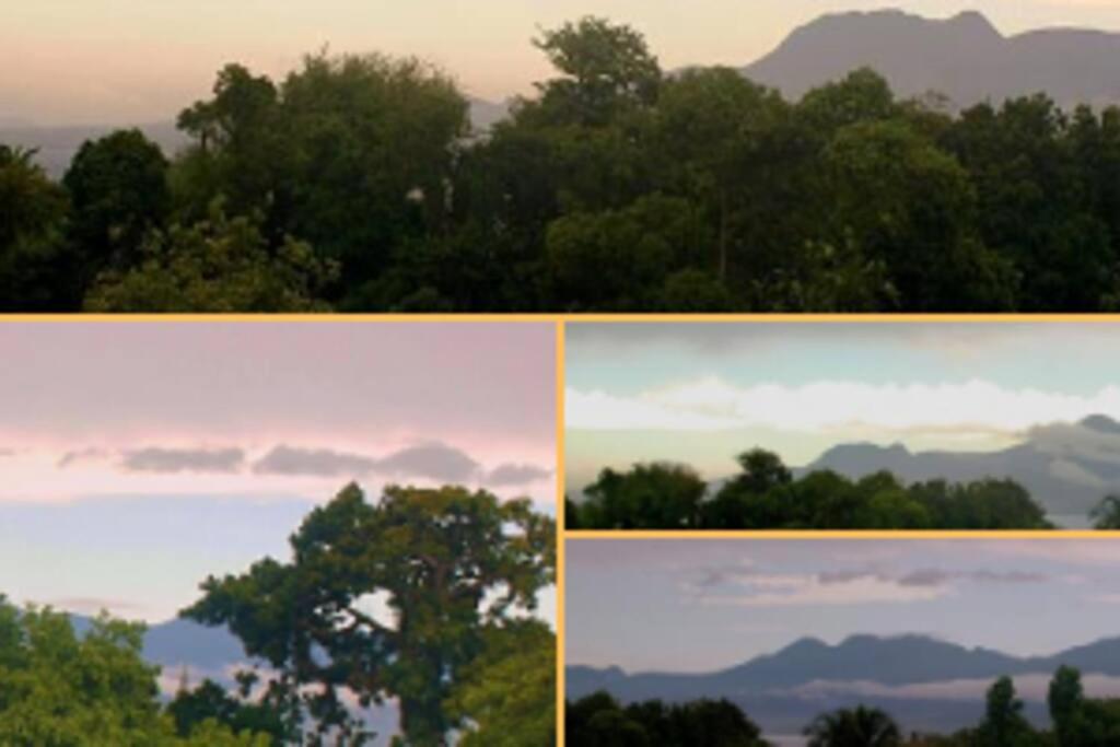 Jolie studette dans un environnement arboré view 5