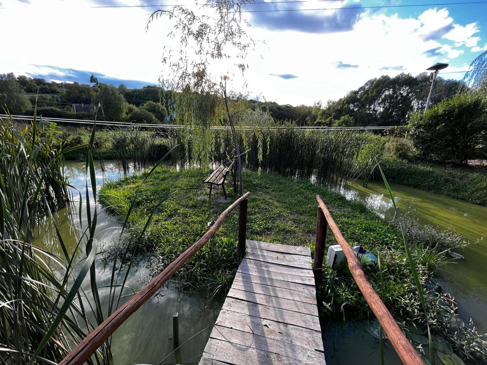 Photo 32