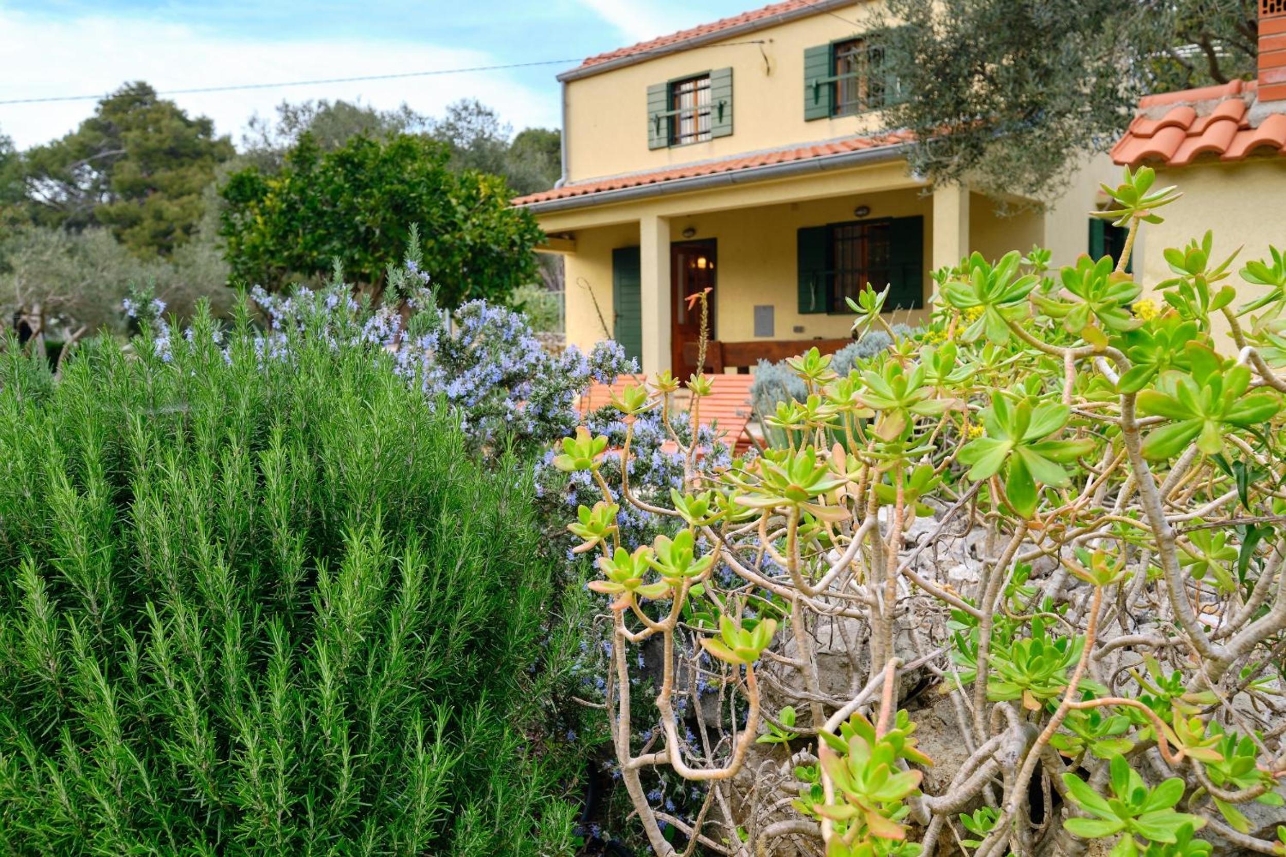 Casa Aromatica Maria view 3