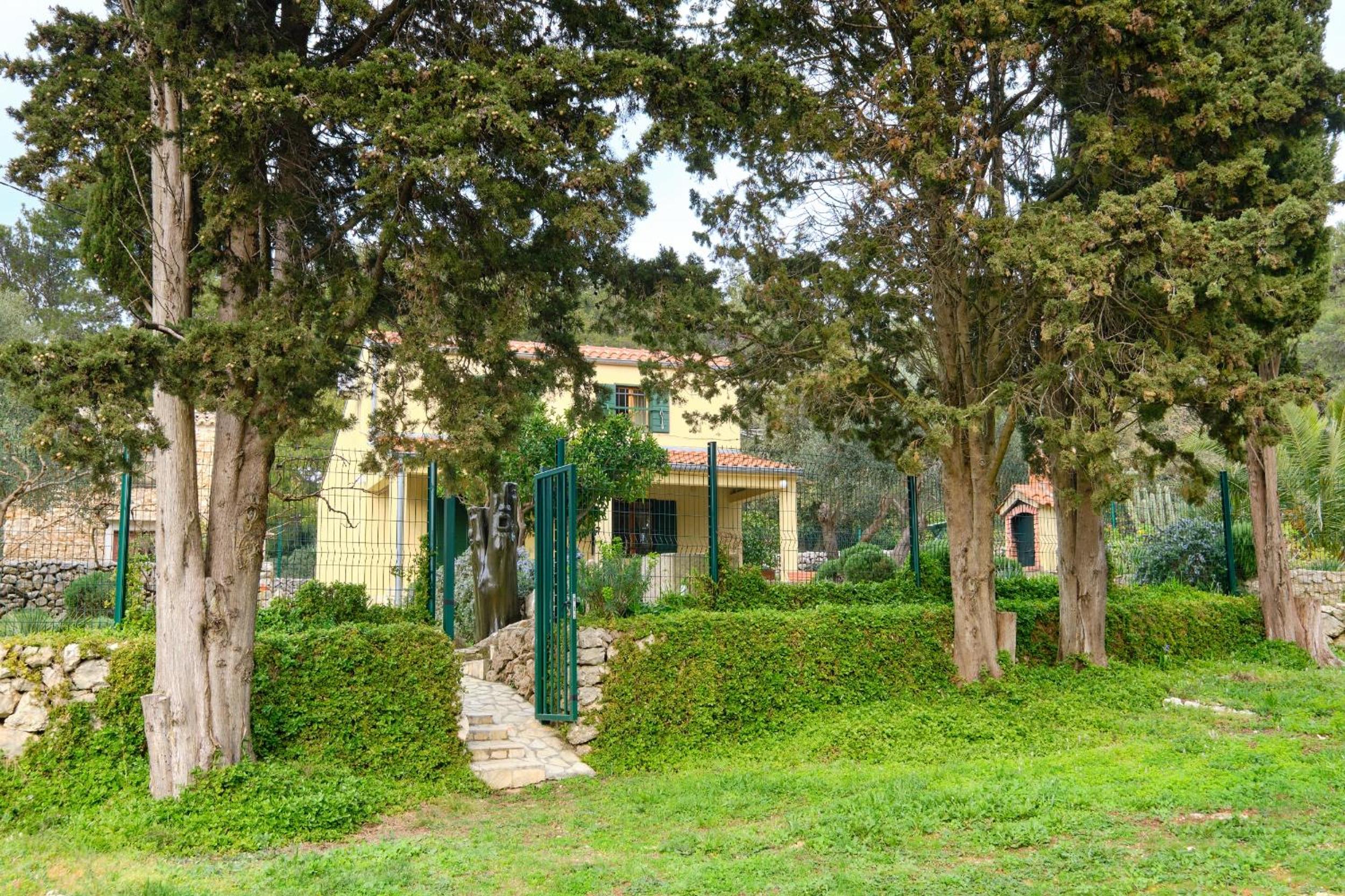 Photo 21