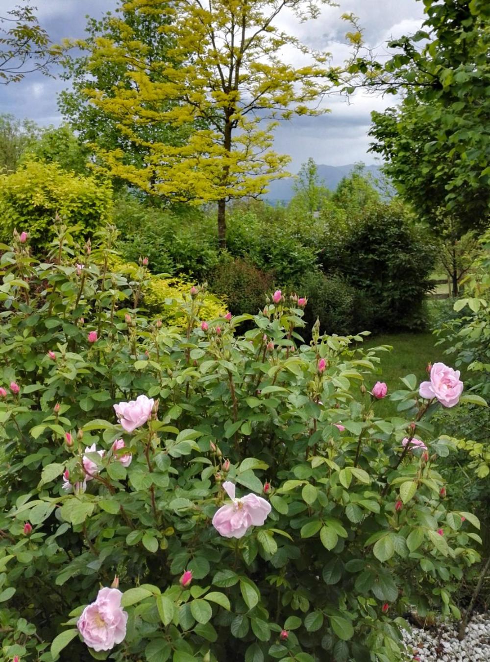 Photo 47