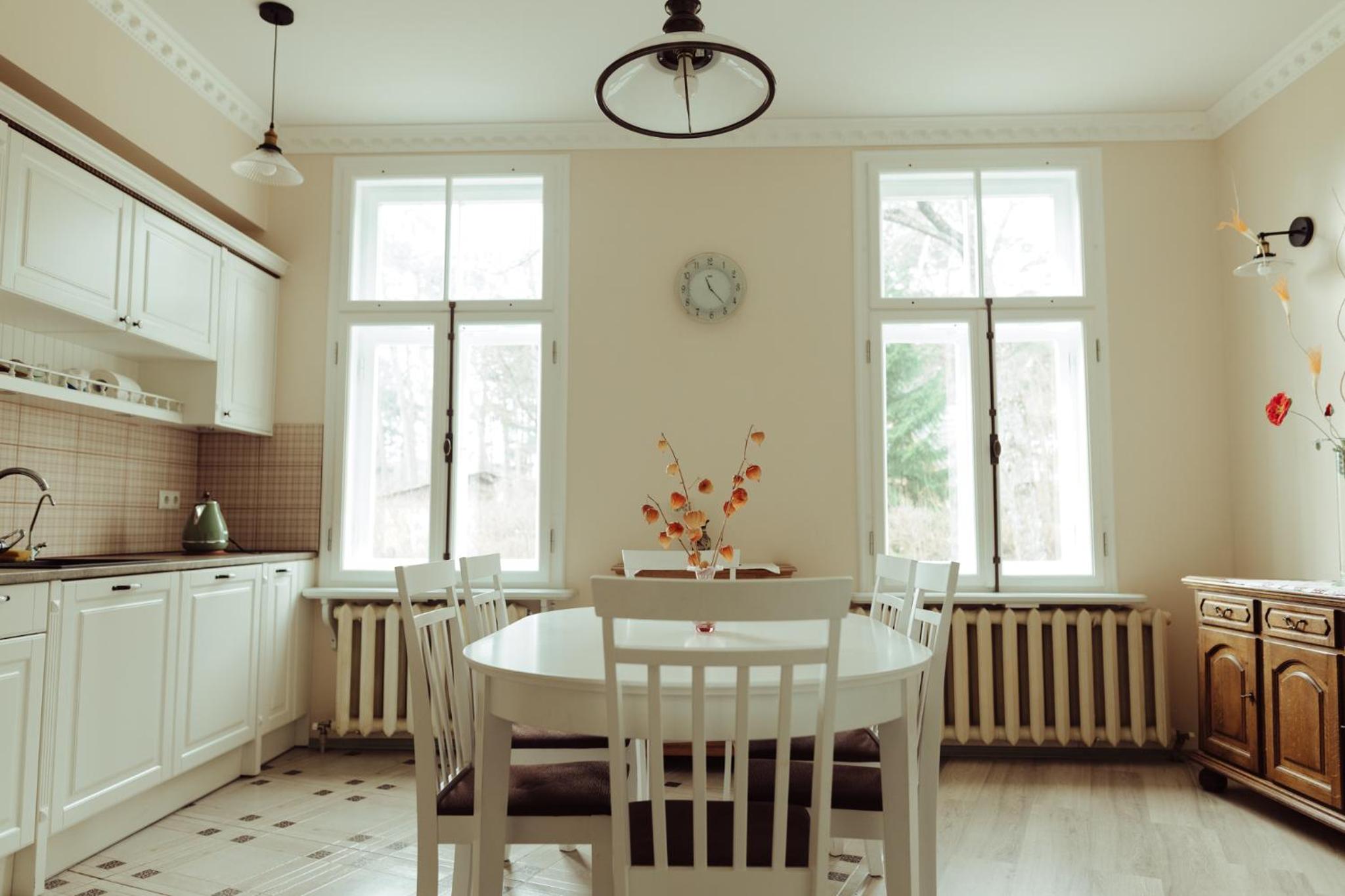 Apartments Vintage Vilnis view 2