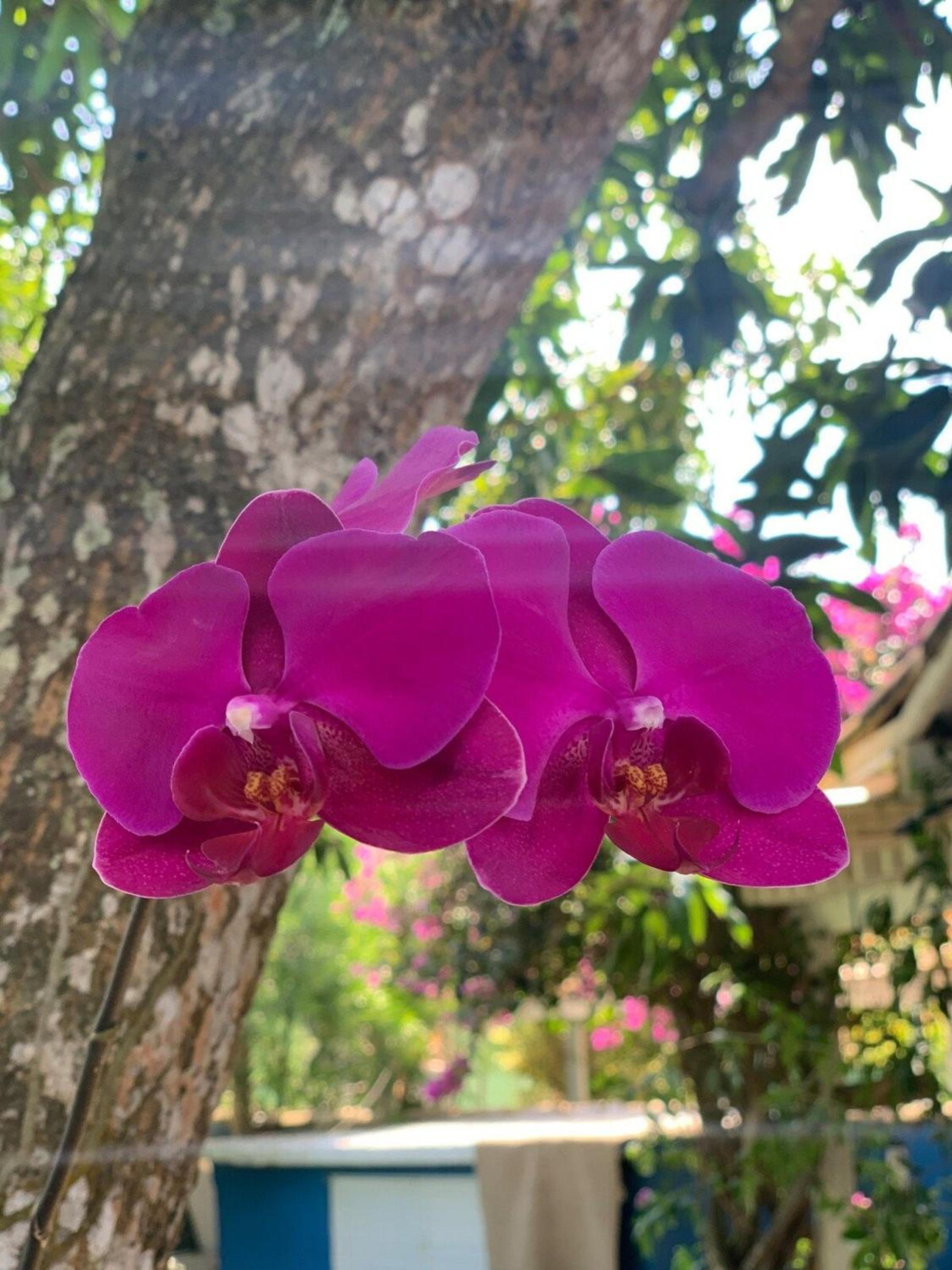 CASA AMPLA, Búzios, o paraiso é aqui, venha!