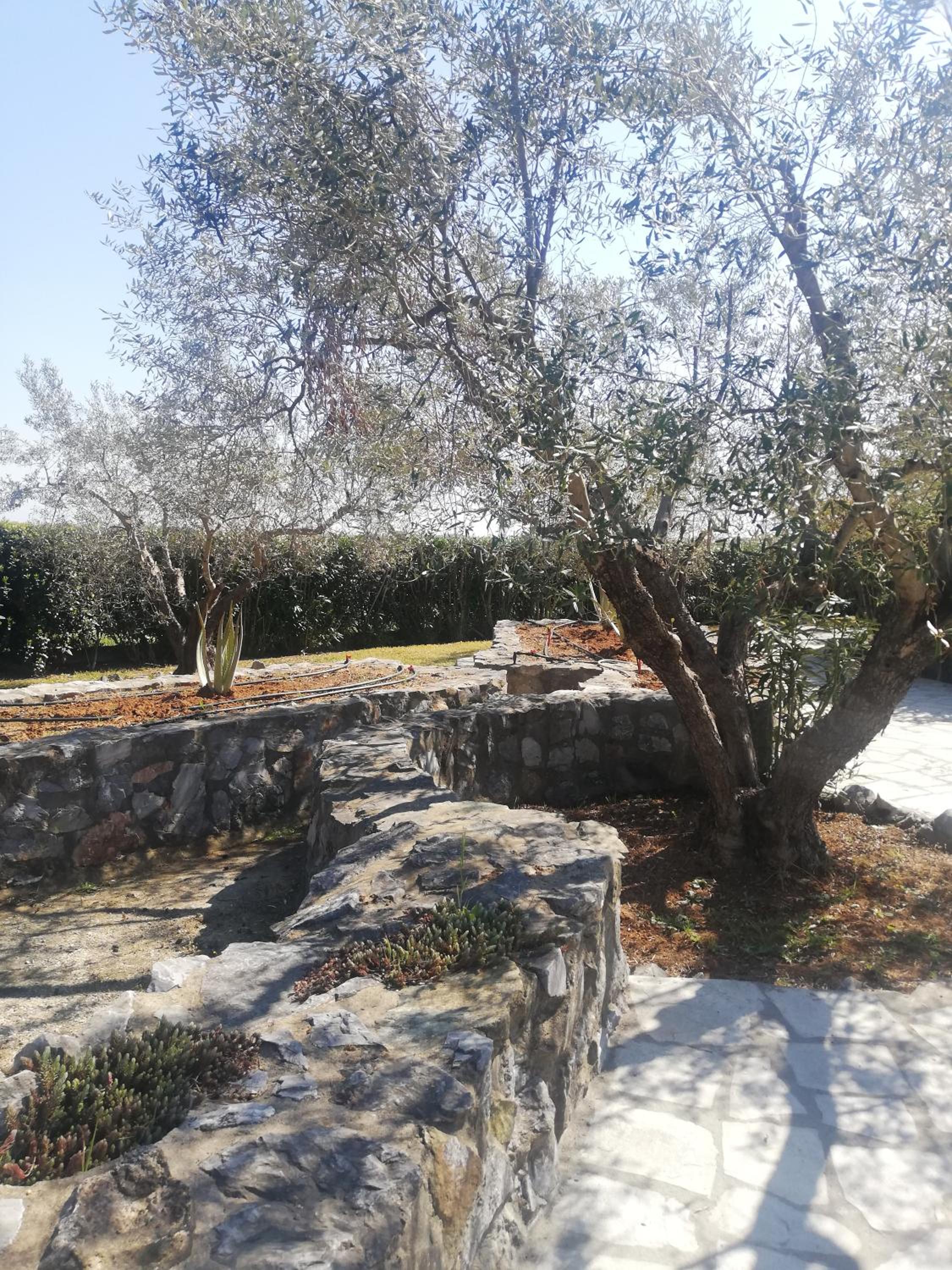 Big house with a huge garden and barbecue area! view 5