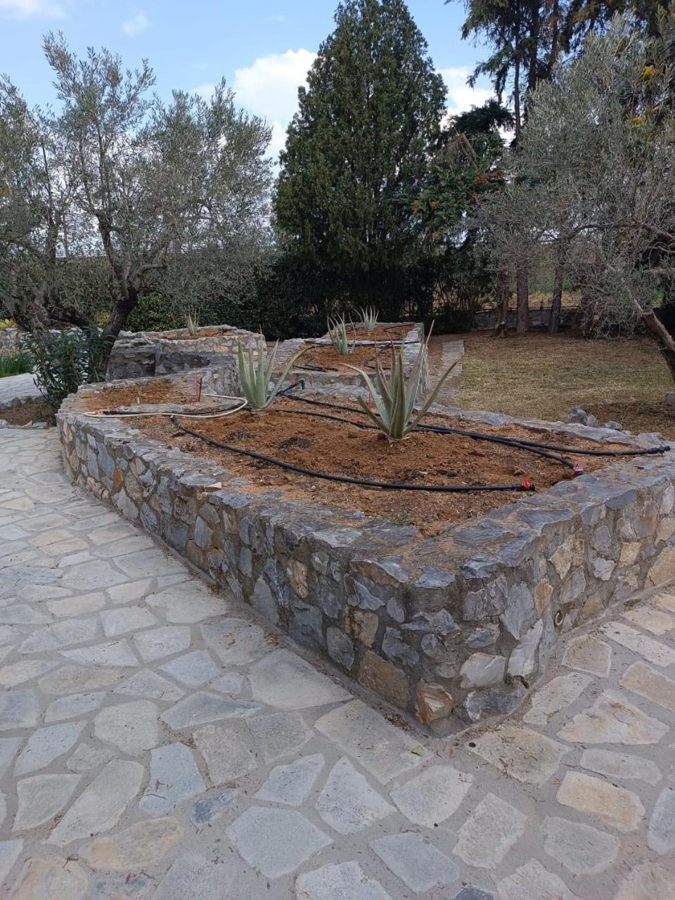 Big house with a huge garden and barbecue area! view 4