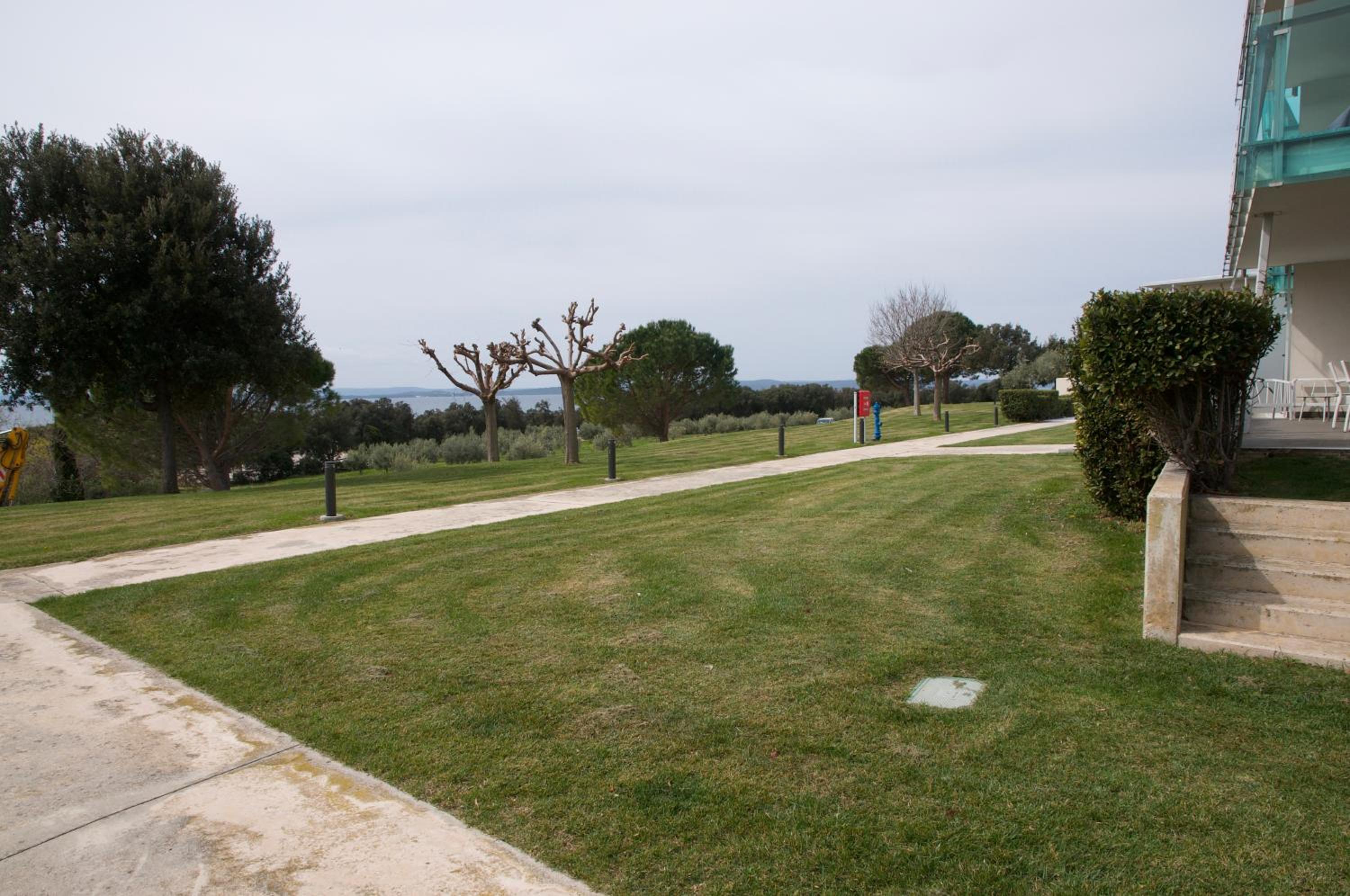 Photo 38