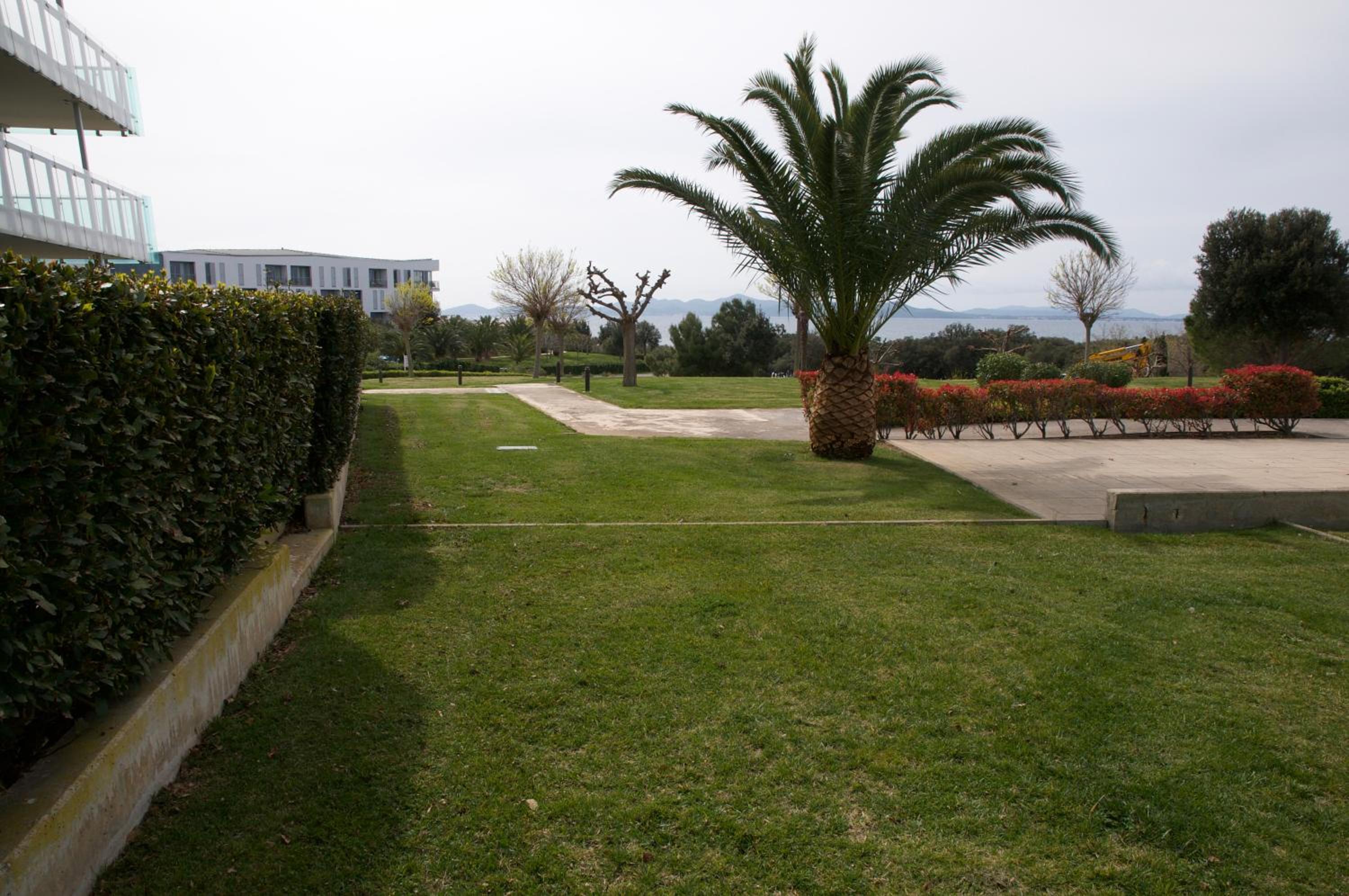 Photo 61