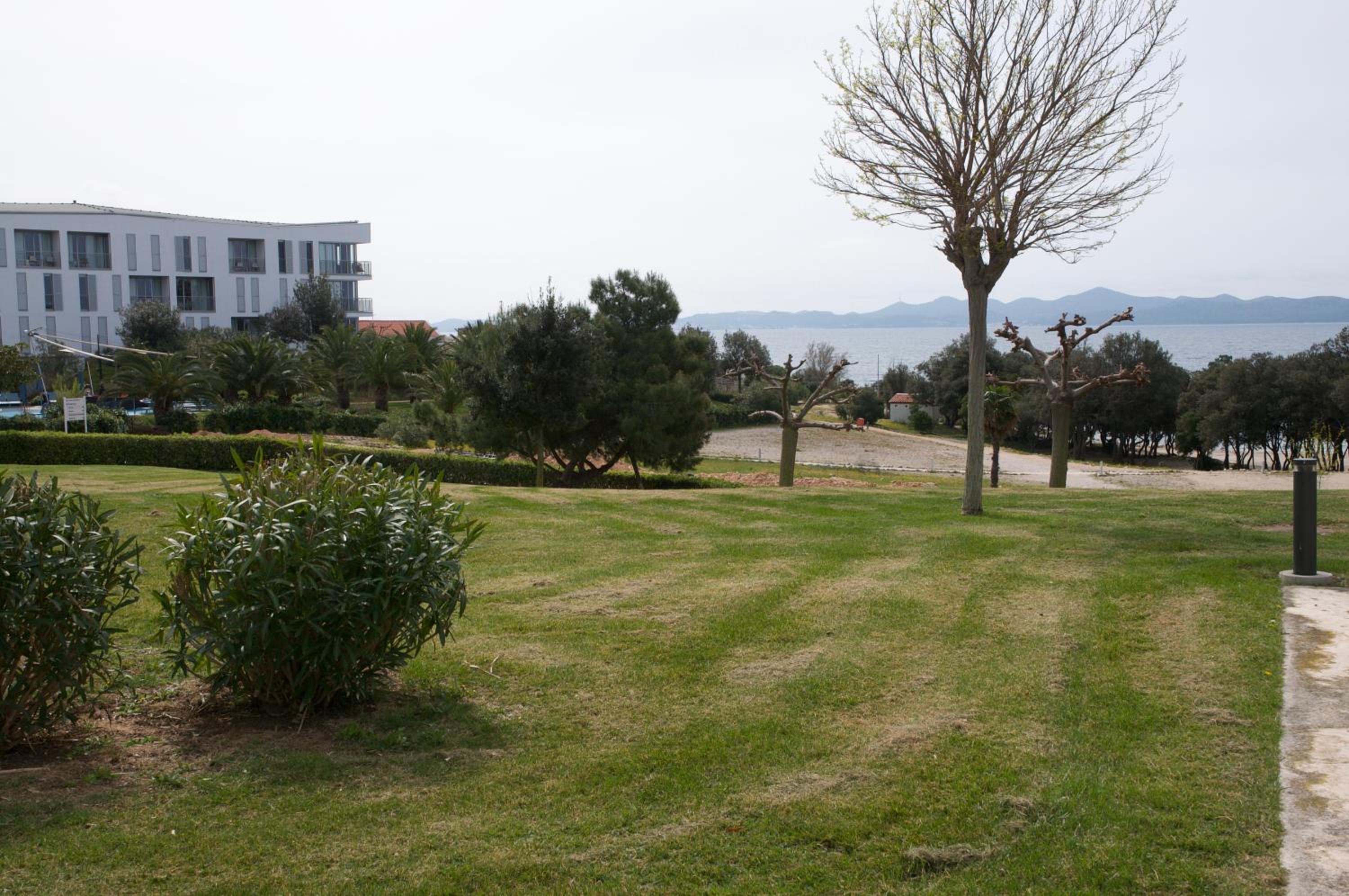Photo 49