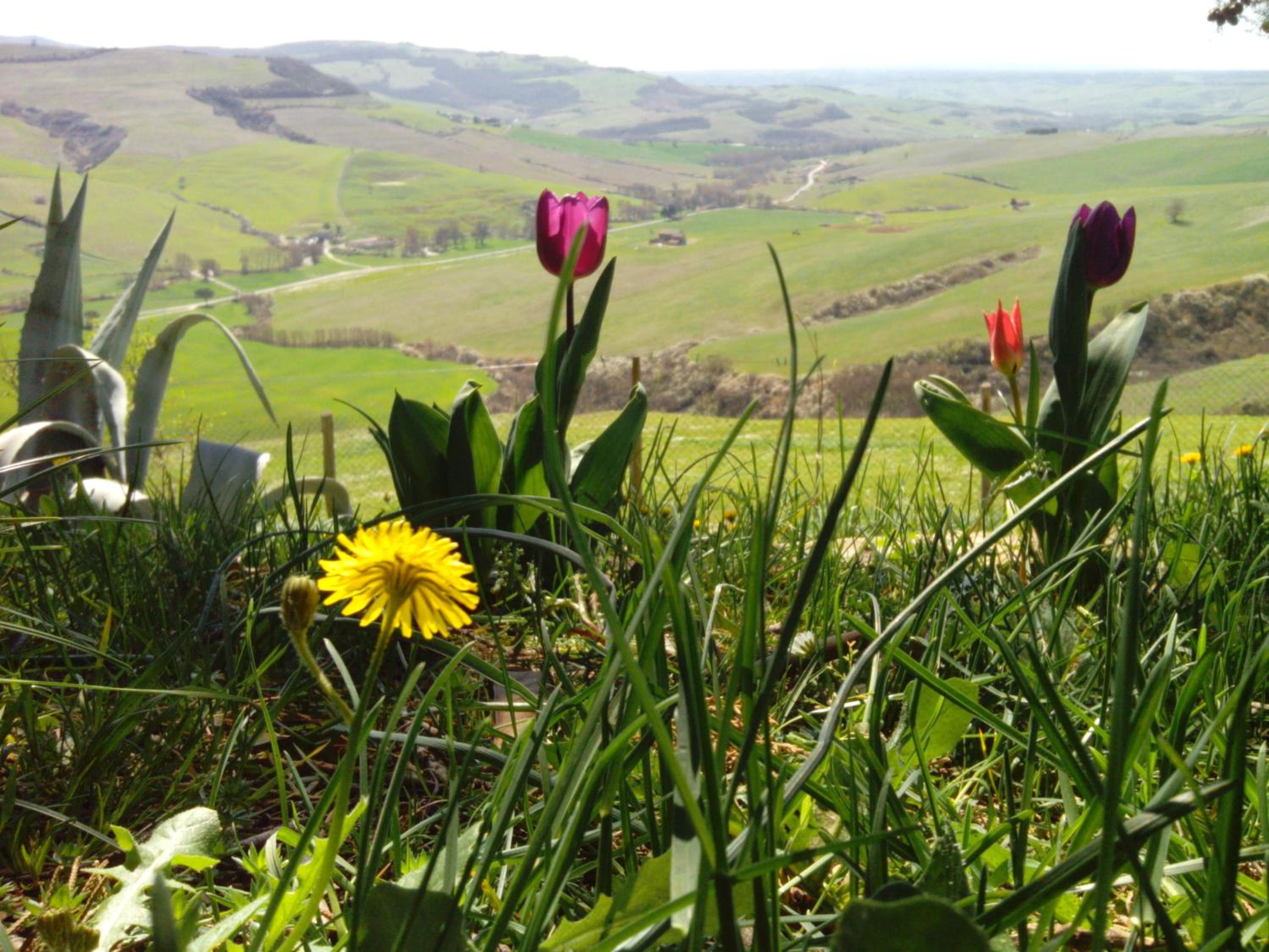 Agriturismo Collomici