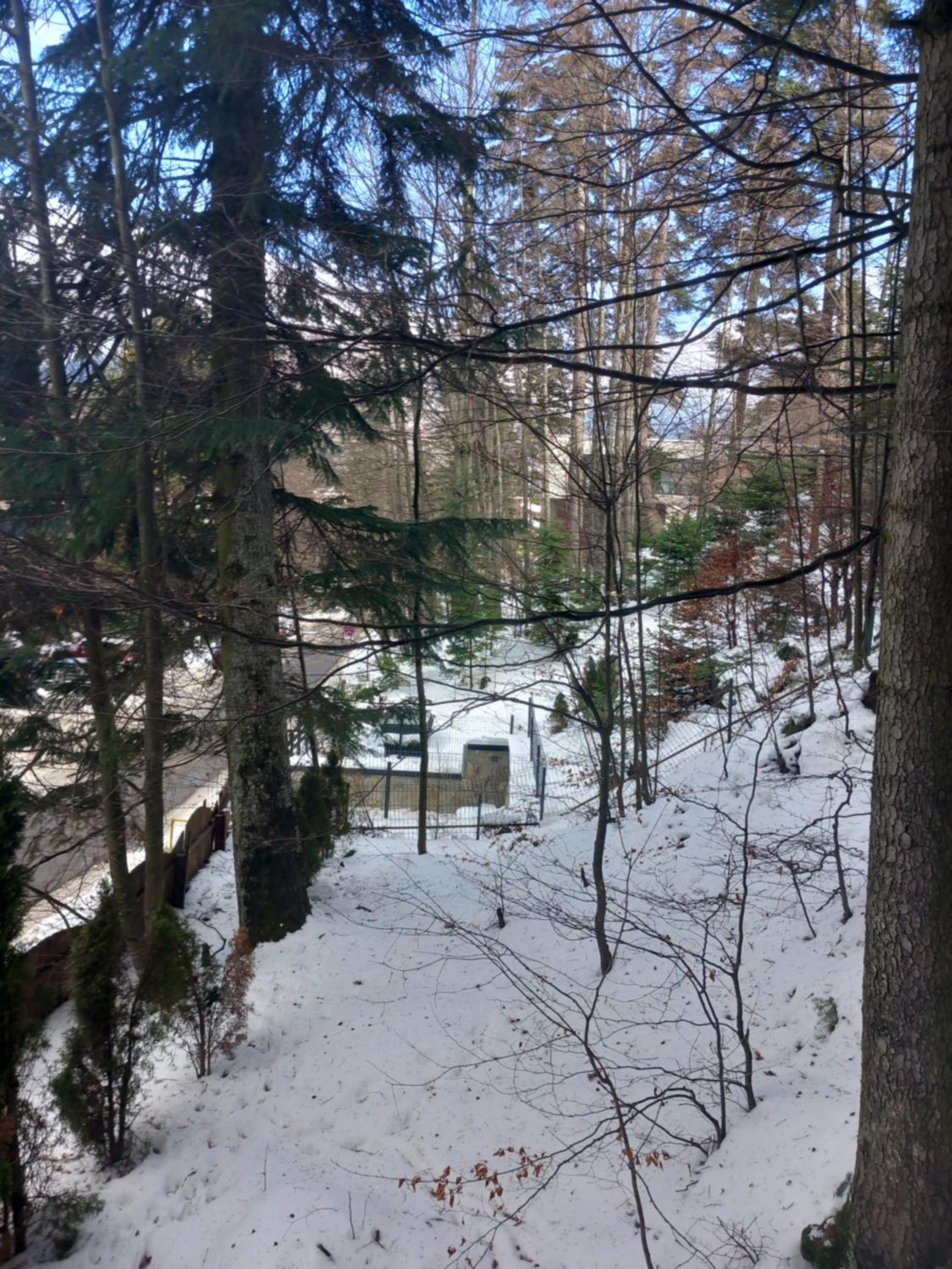 Maria Apartament