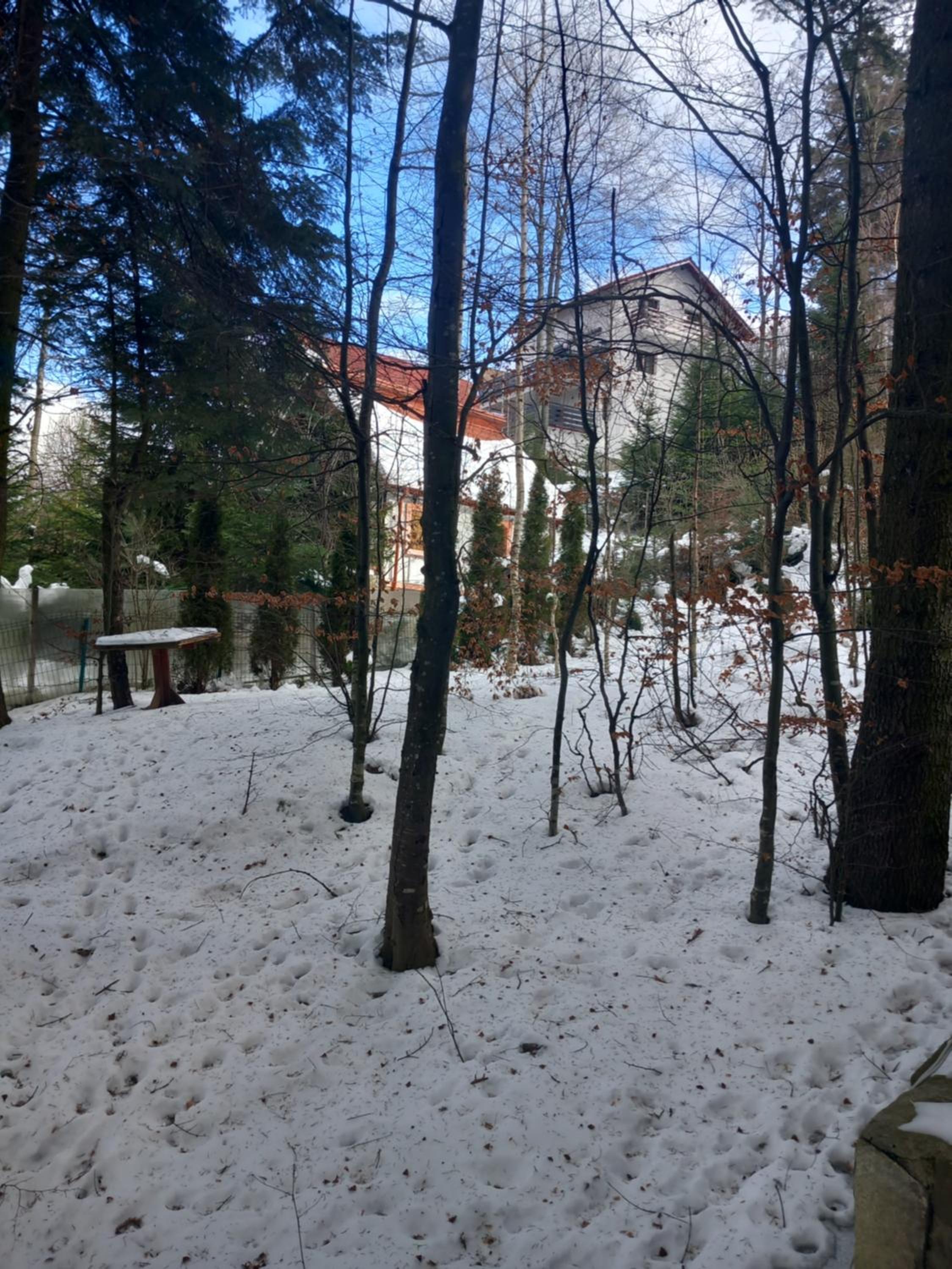 Maria Apartament
